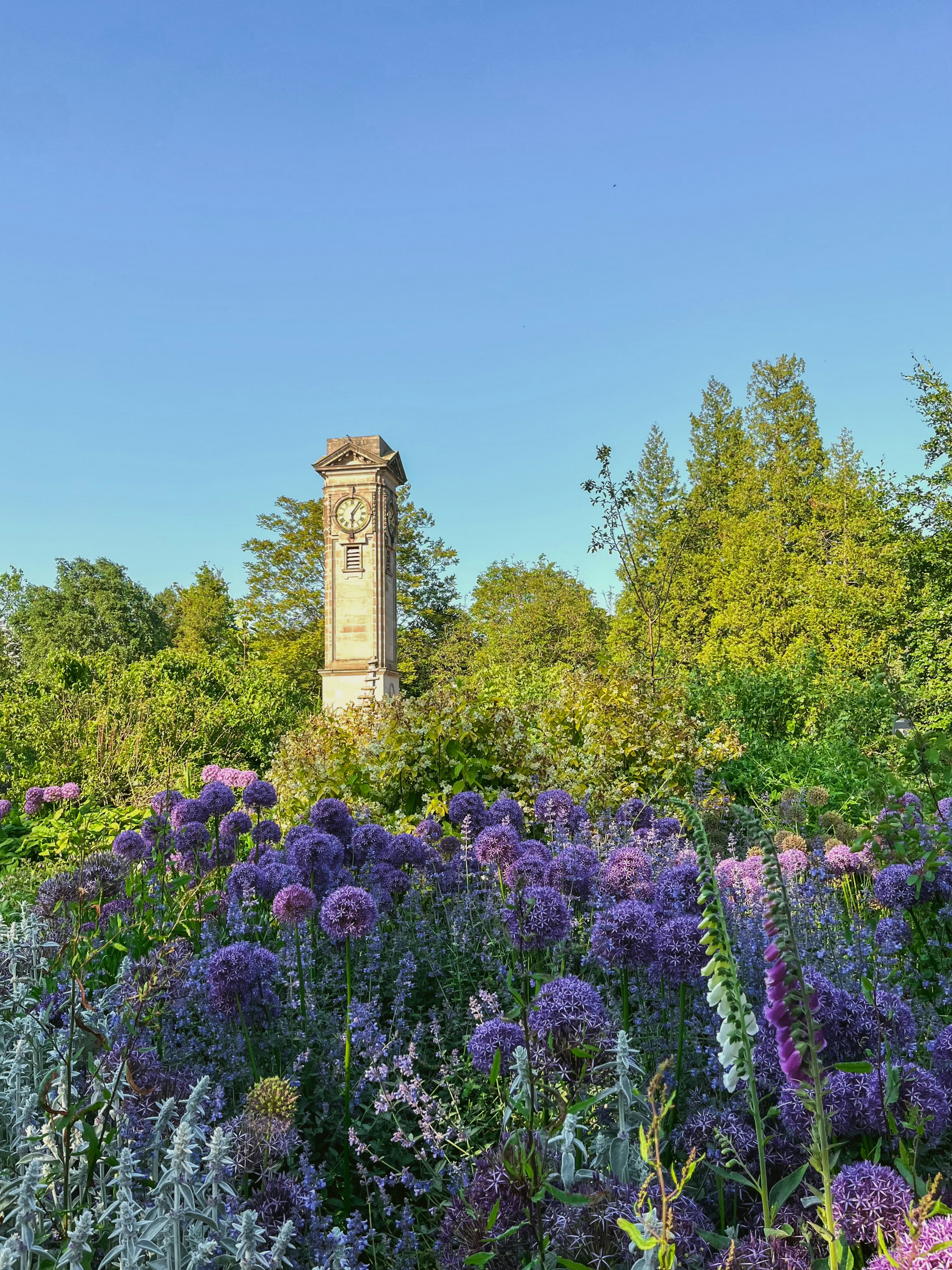 a clock tower in the middle of a field of flowers