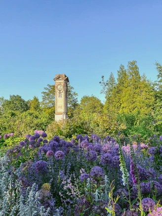 Leamington Spa counselling, walking and talking therapy.