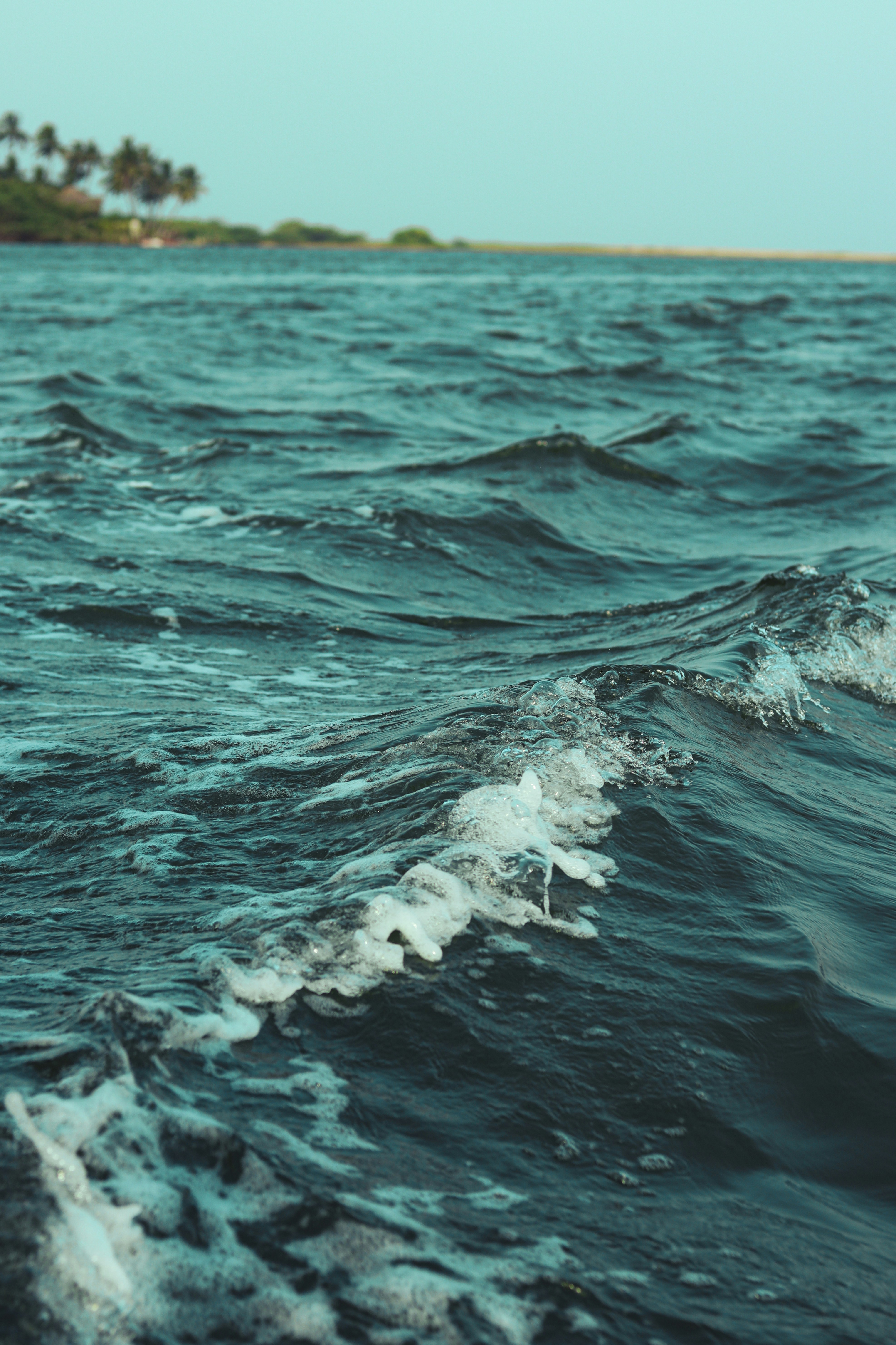 Photo by dhilipantony