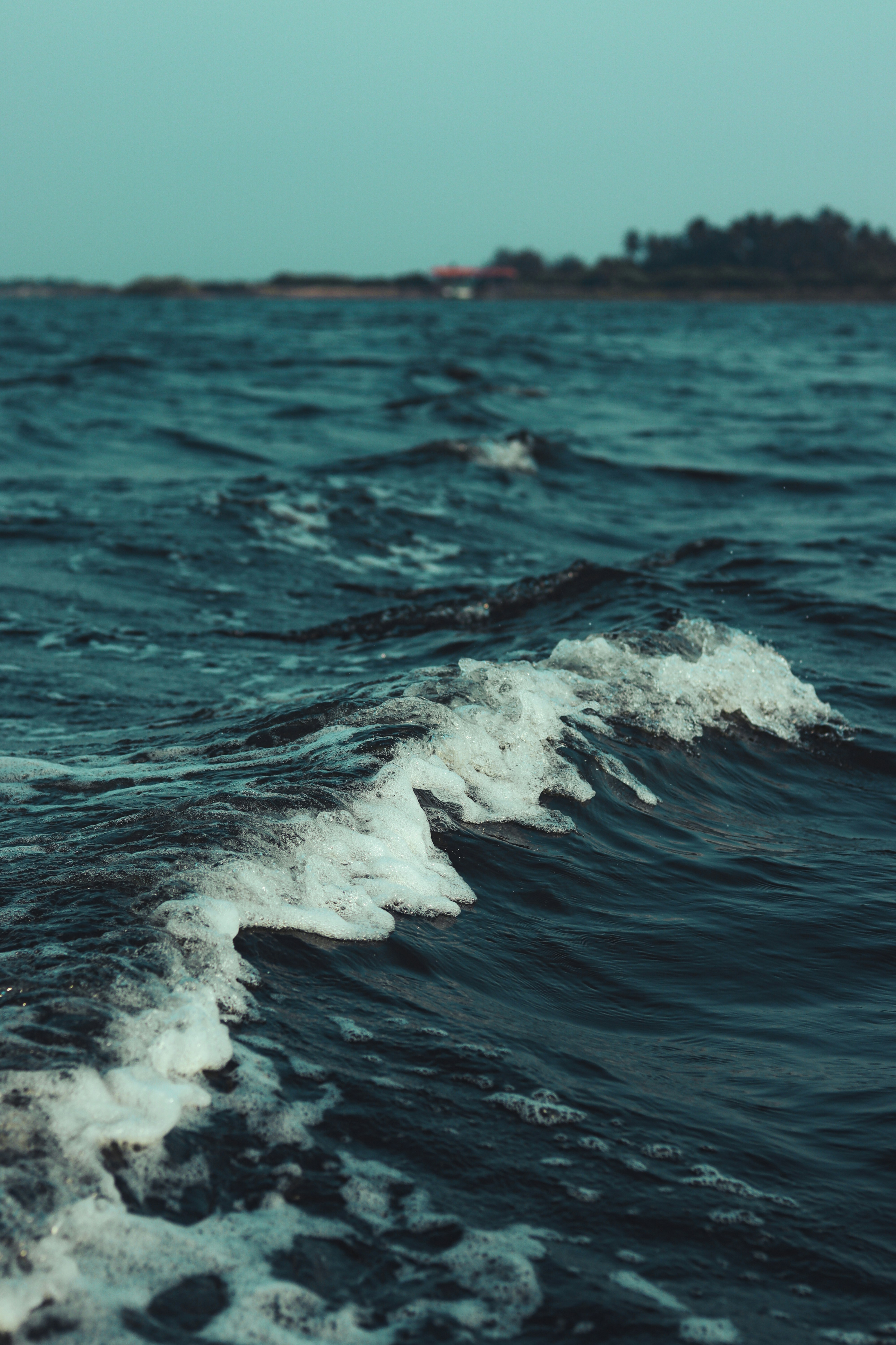 Photo by dhilipantony