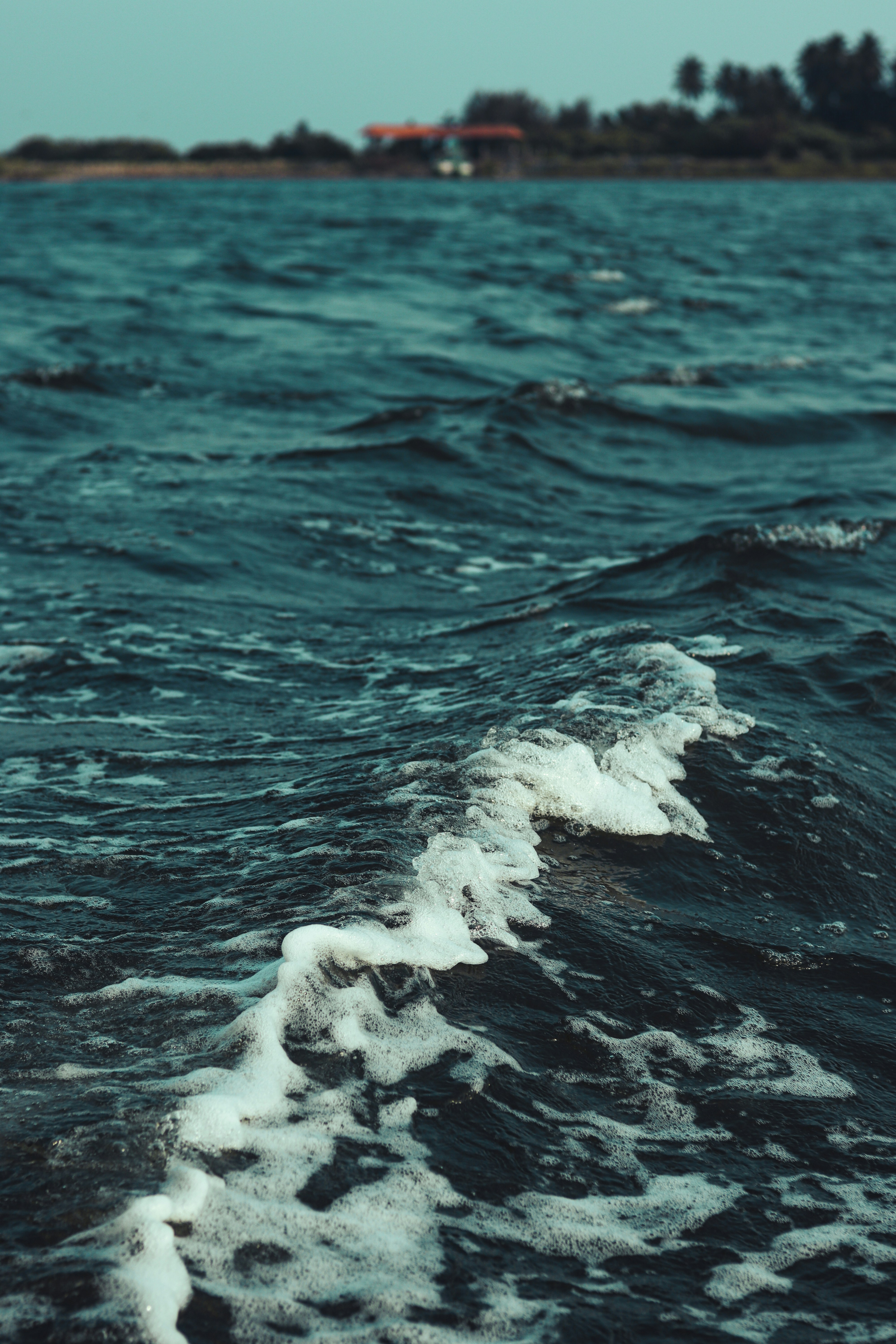 Photo by dhilipantony