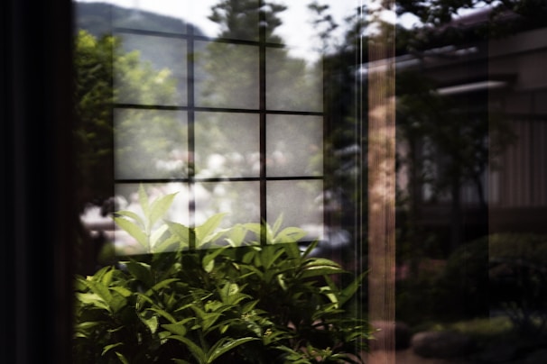 Close-up of sparkling clean glass windows reflecting a green outdoor environment.