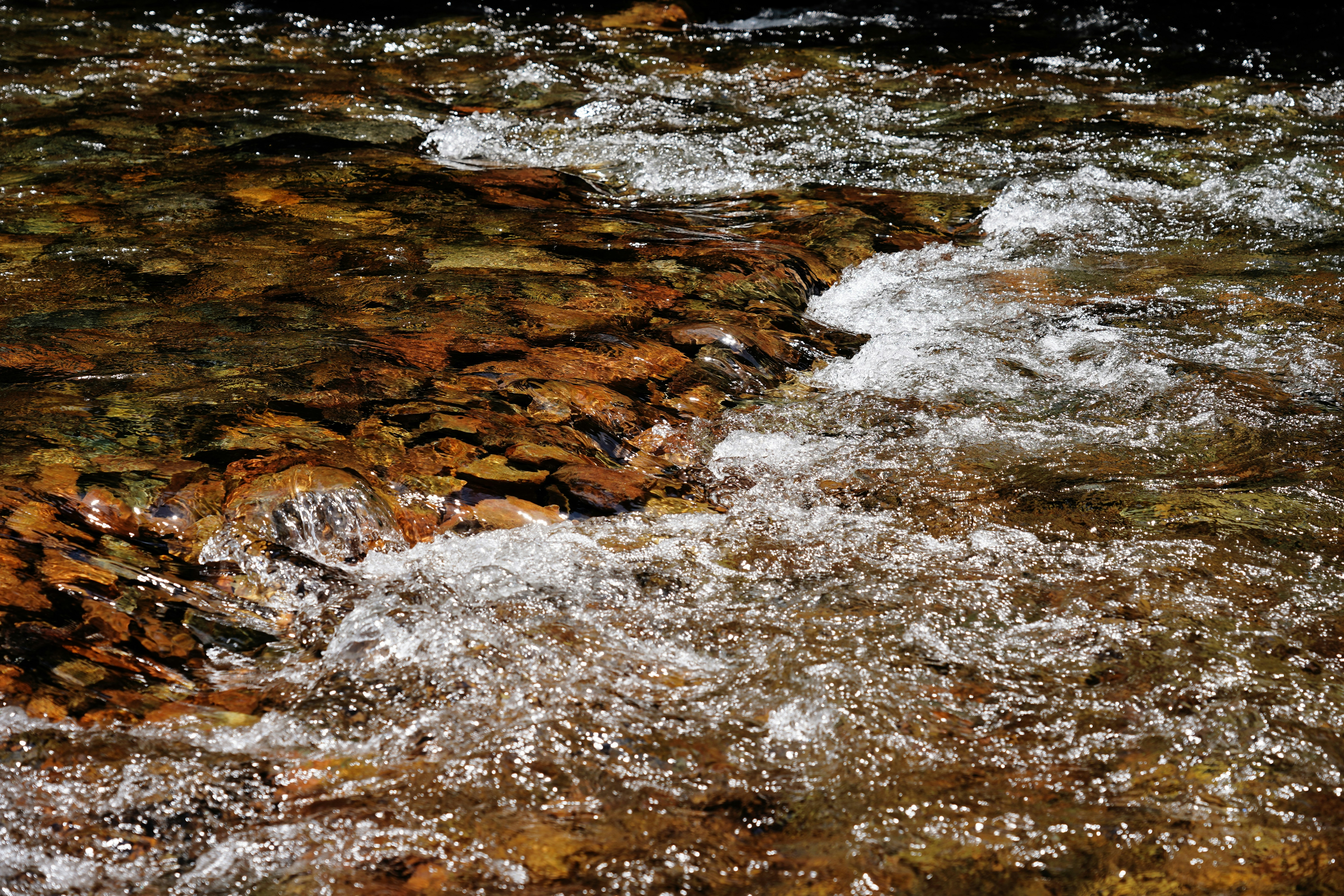 Ein Vogel sitzt auf einem Felsen im Wasser
