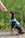 A small dog with a black and tan coat is sitting on a gravel path, wearing a bright blue harness. A human hand is extended towards the dog, as if about to give it a treat. The background is lush with green grass, indicating a natural outdoor setting.