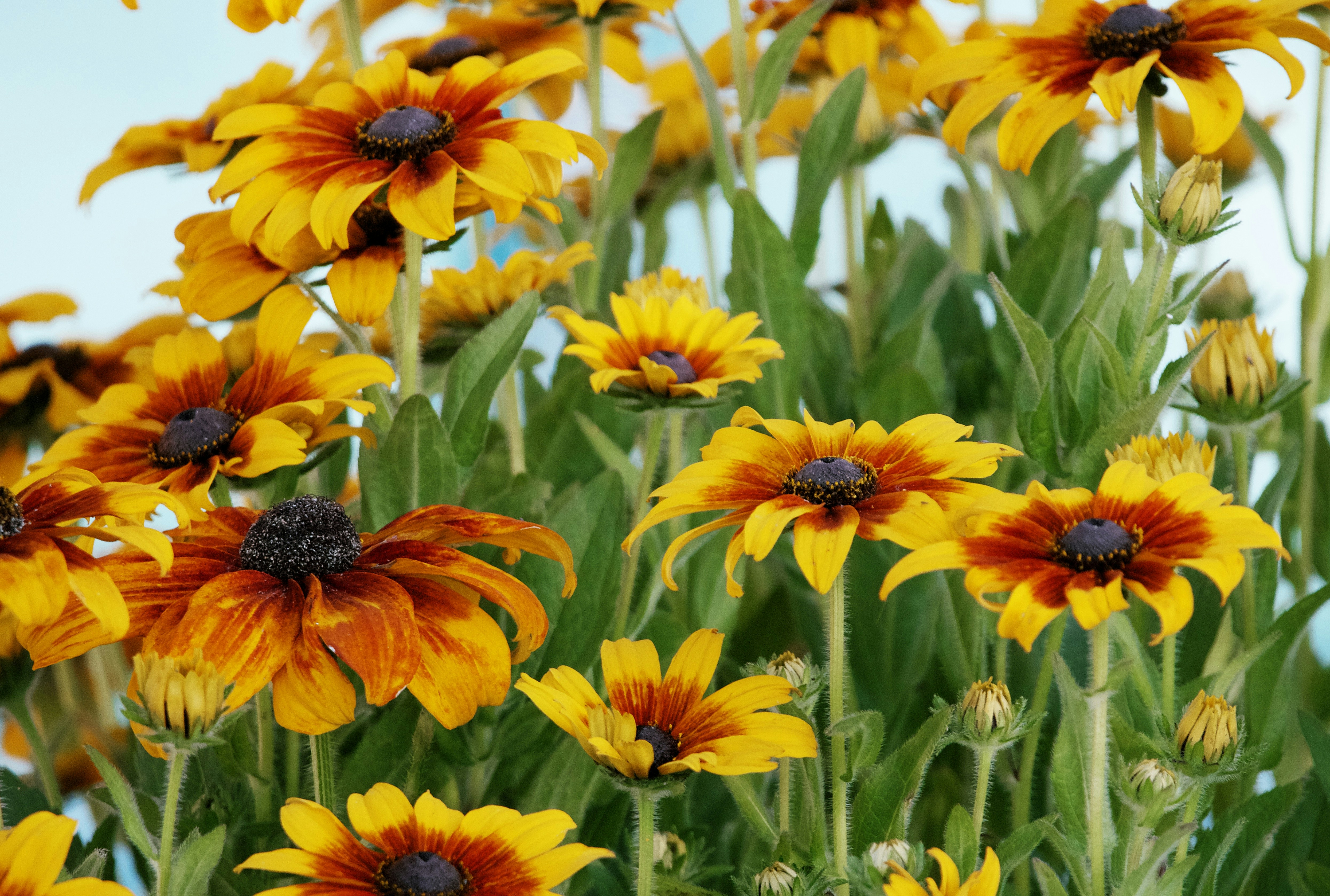 Photo by picsbyjameslee