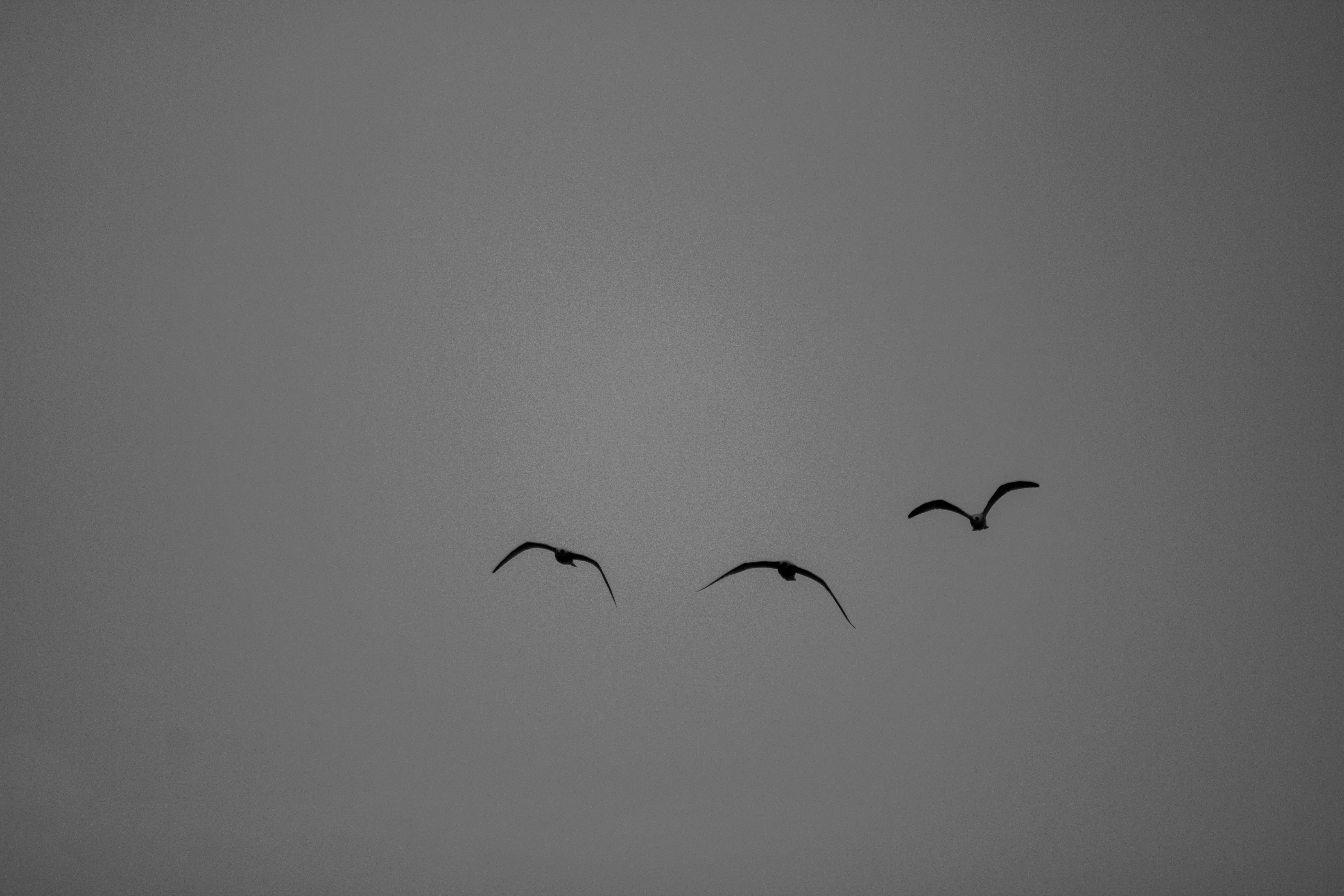 Photo by cippicippiphoto