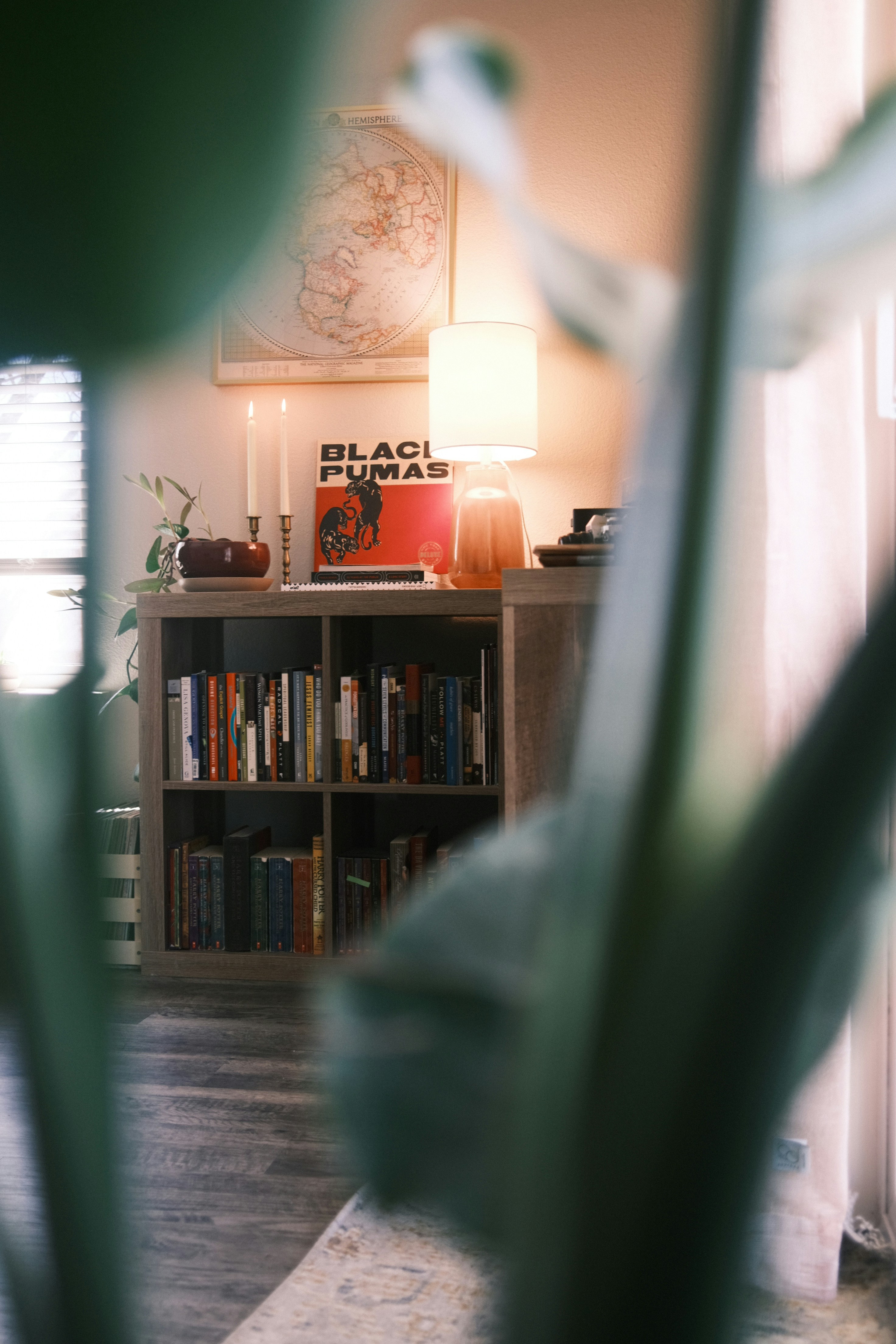 a living room with a book shelf filled with books