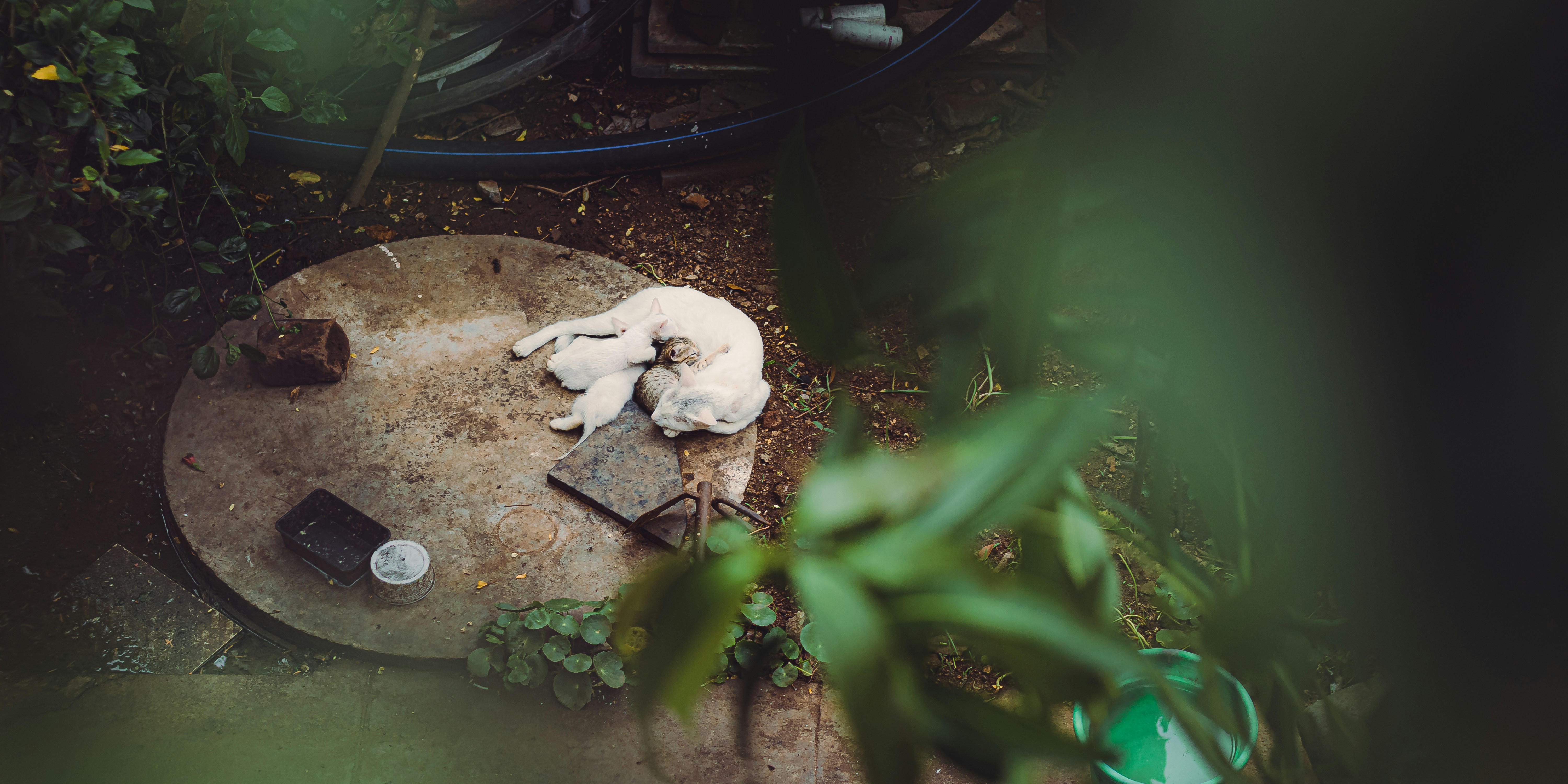 Photo by dhilipantony