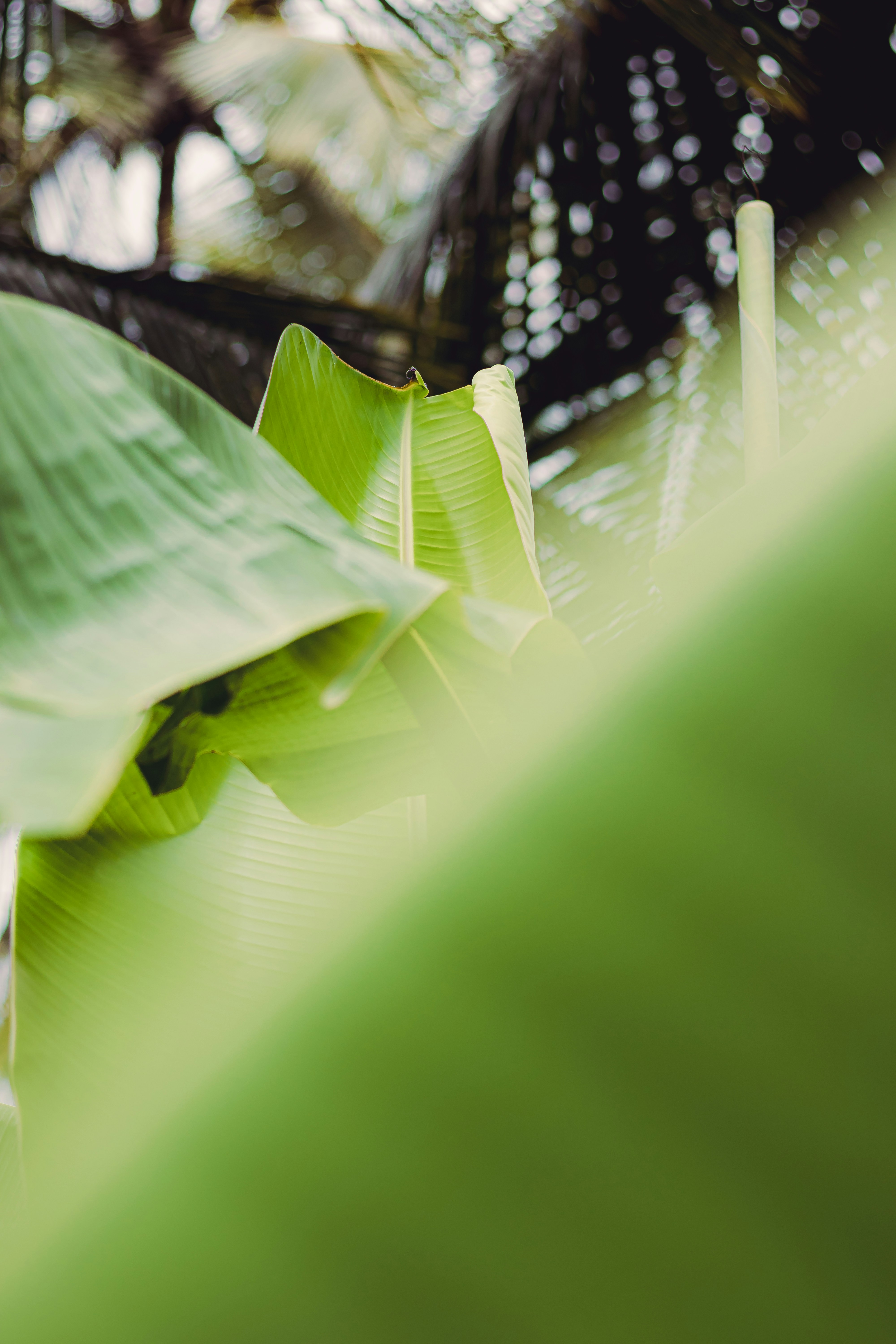 Photo by dhilipantony