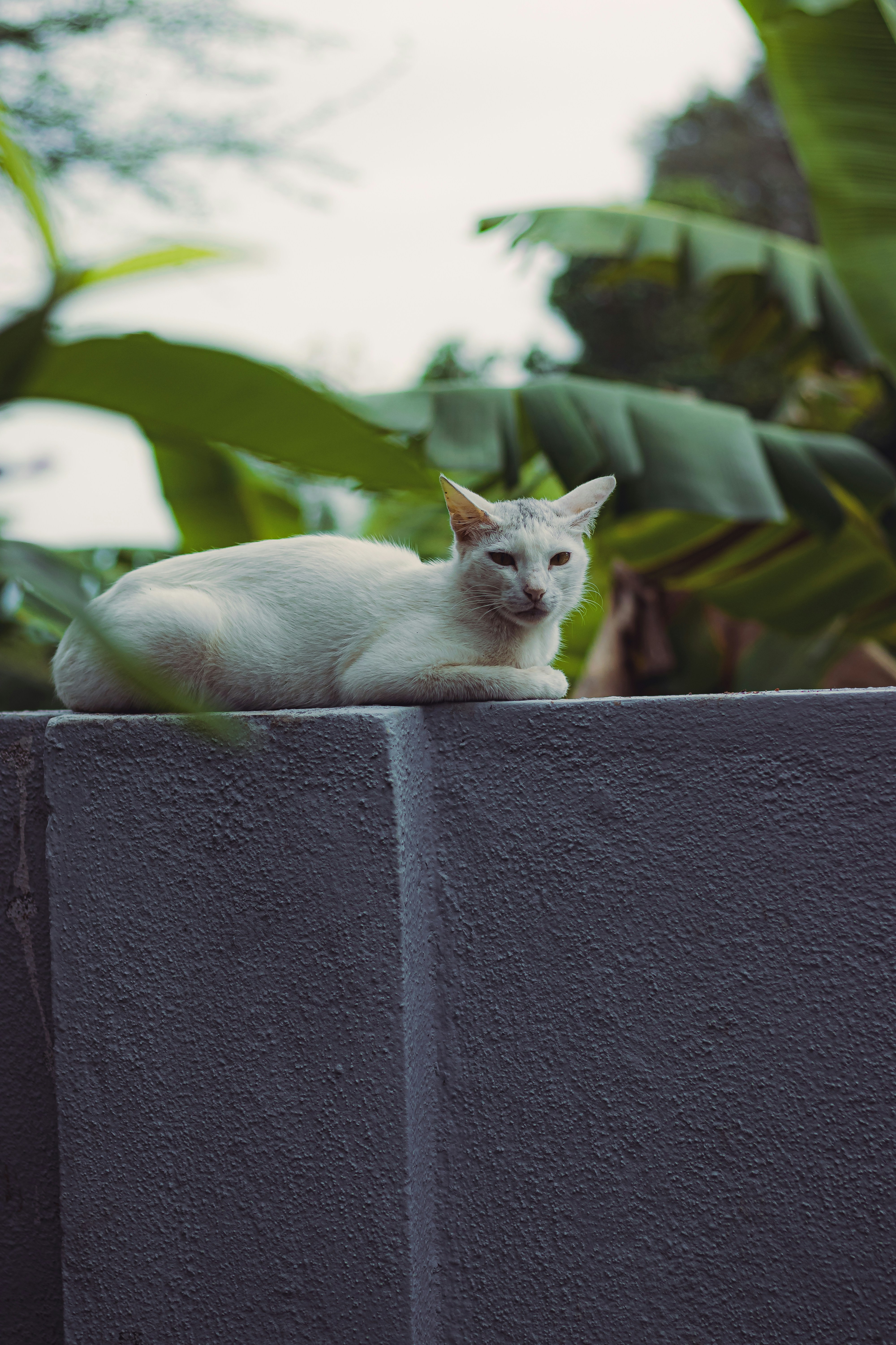 Photo by dhilipantony