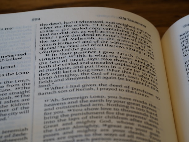 An open book displaying a vivid, illustrated page from a Faithverse sci-fi novel.