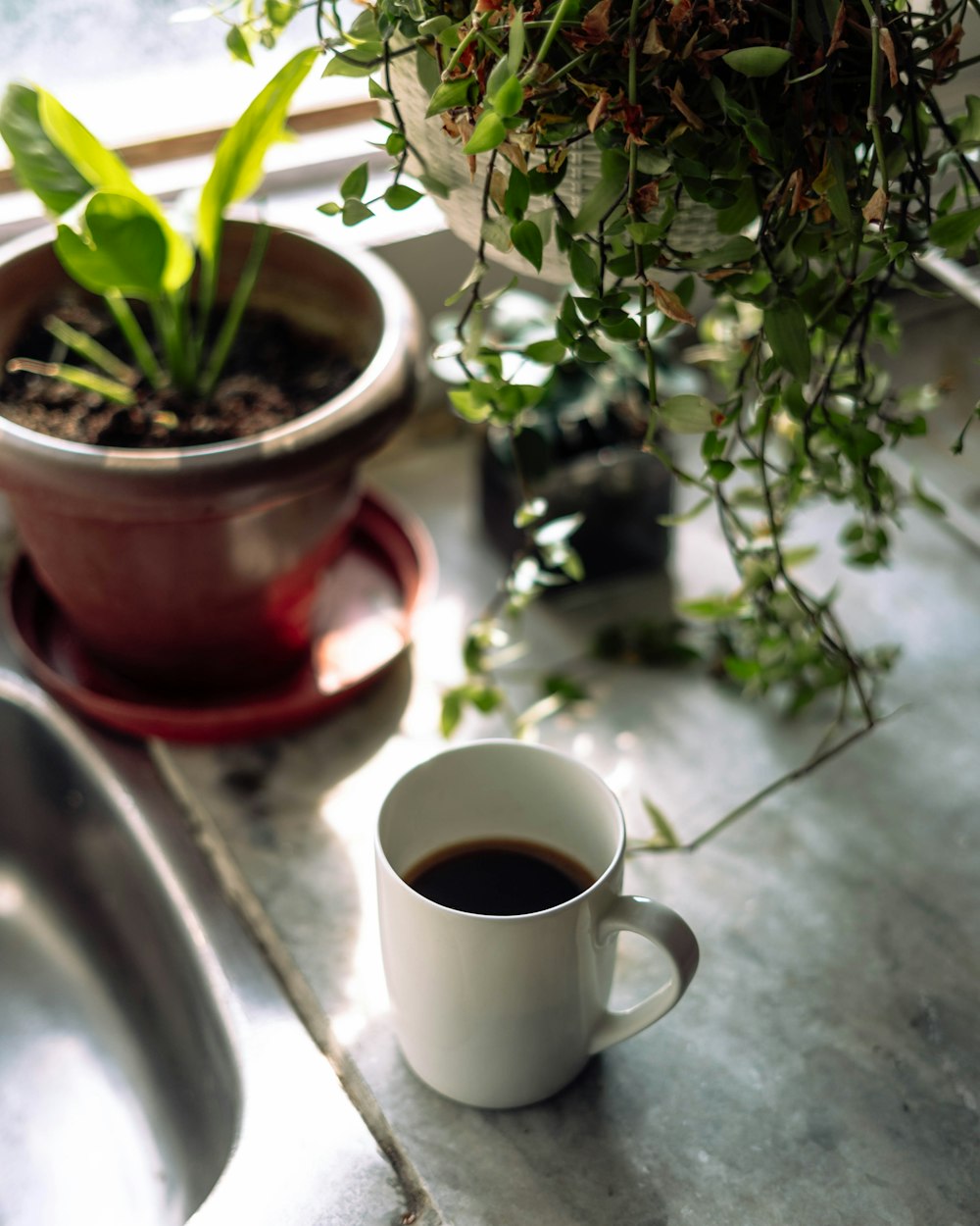 una taza de café junto a una planta en maceta