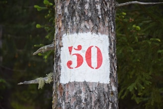 A tree trunk is marked with a white rectangular patch featuring the number 50 in red. The tree is surrounded by greenery in a forested environment.
