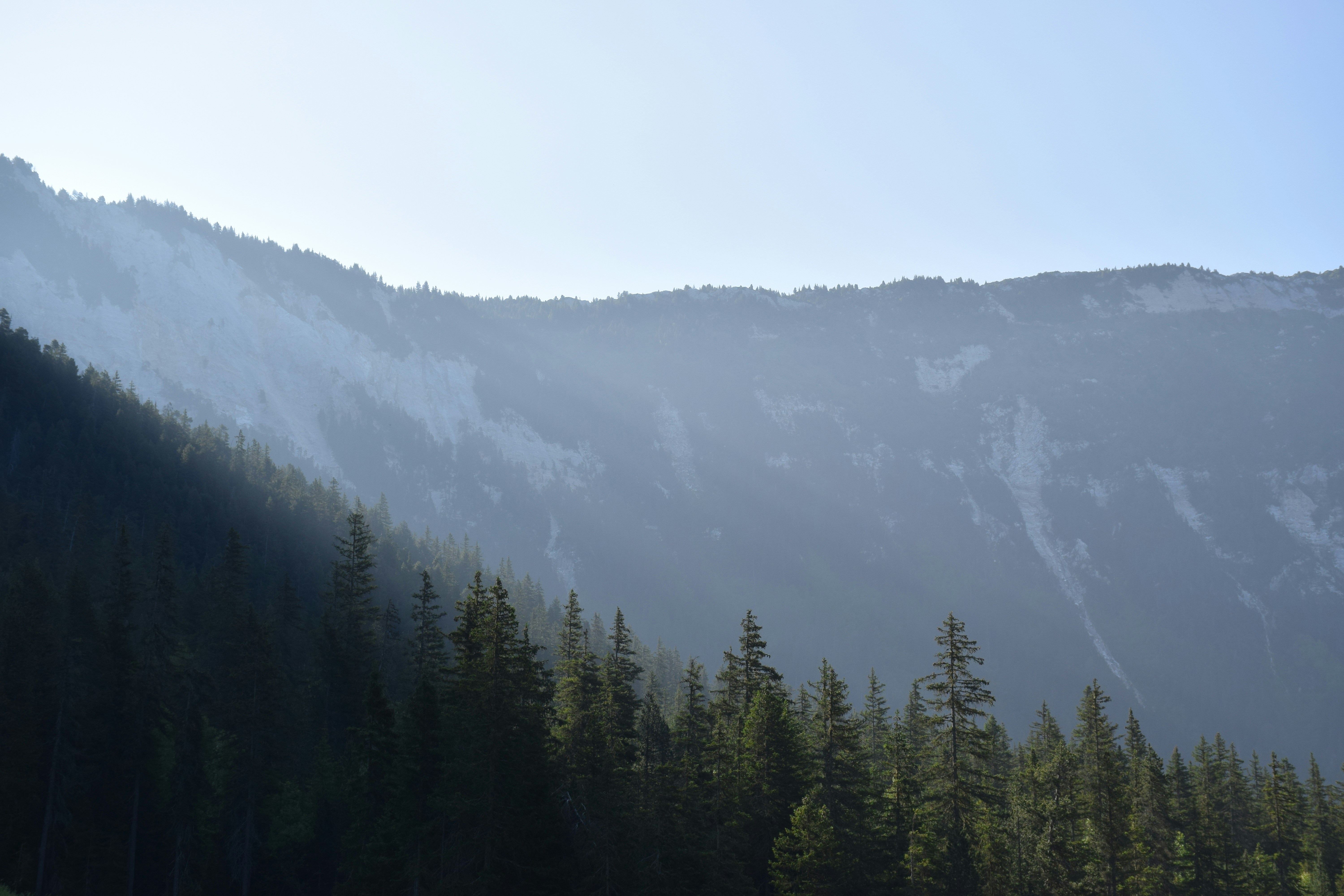 the sun shines on a mountain with trees in the foreground, First photo trip to Vanoise June 2023, I hope you will enjoy my work !