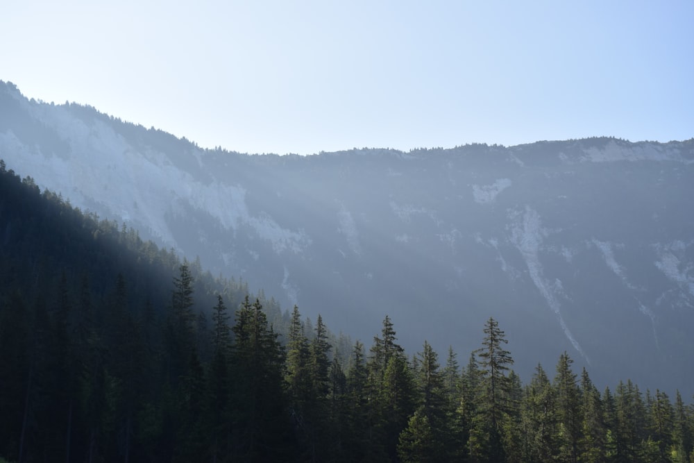 the sun shines on a mountain with trees in the foreground