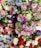 A vibrant array of artificial flowers in various colors and types, including roses, peonies, and hydrangeas. The arrangement includes shades of pink, red, purple, blue, and white, with lush green leaves interspersed throughout.