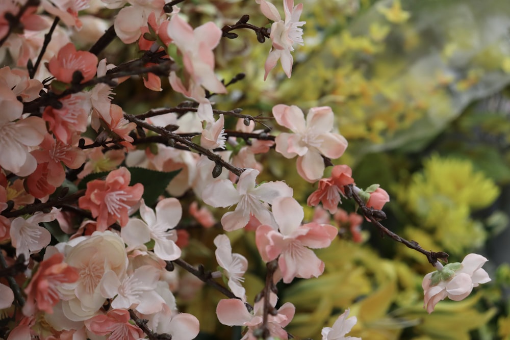a bunch of pink and white flowers on a tree