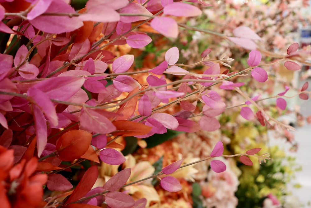 a bunch of flowers that are on a wall