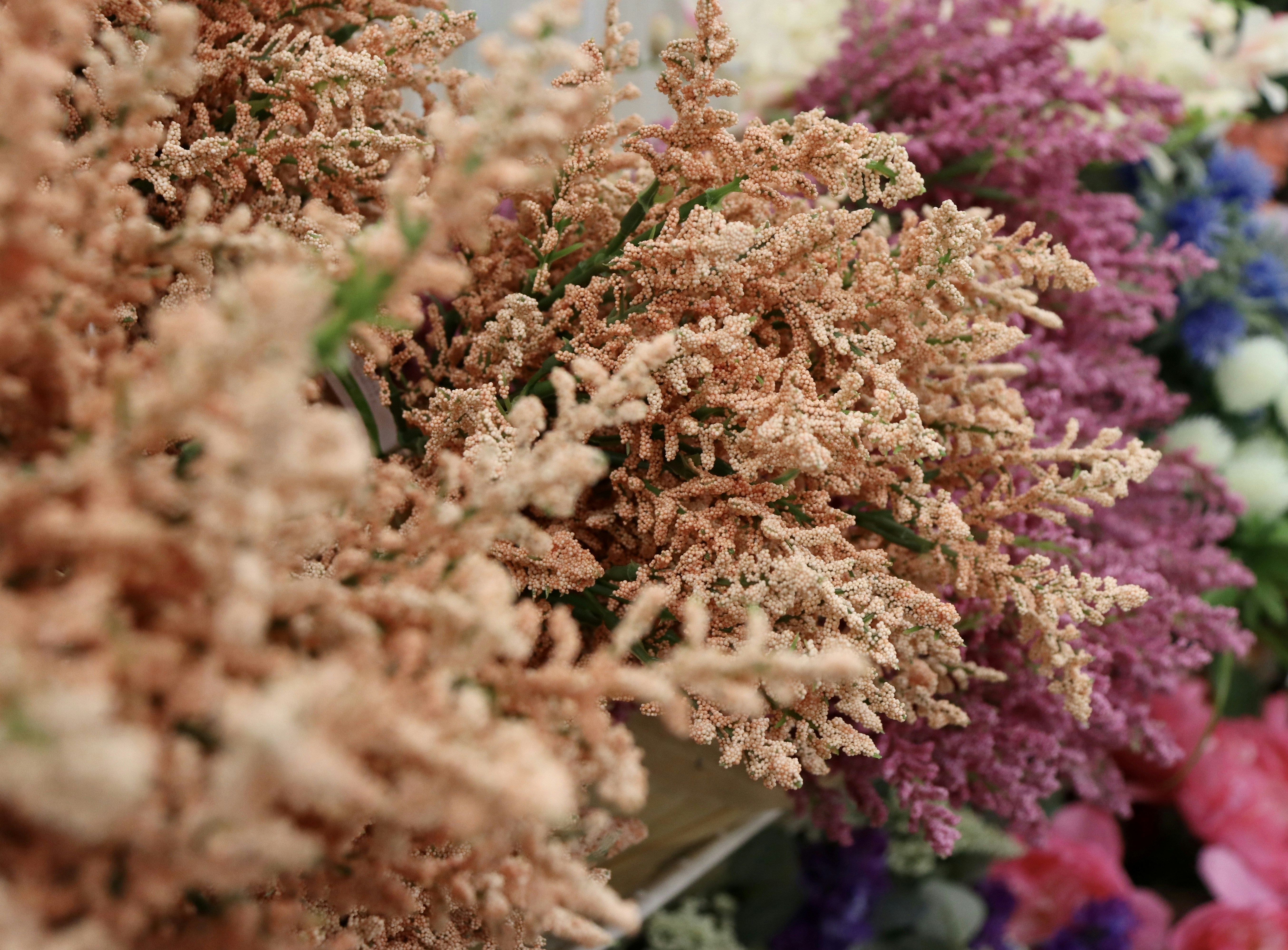 Photo by capturedbyk