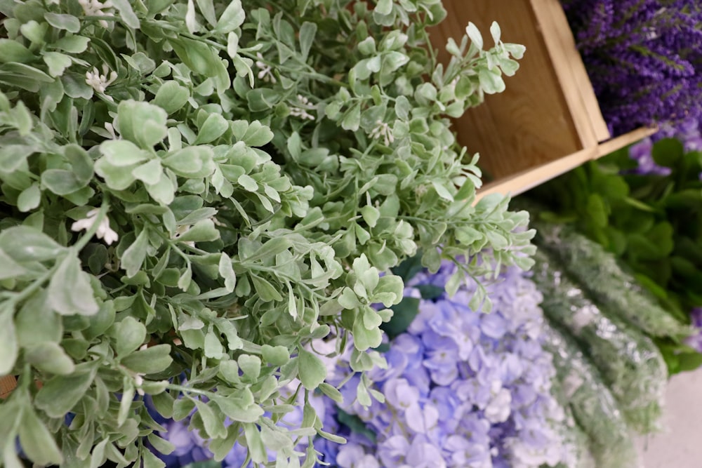 a close up of a bunch of flowers