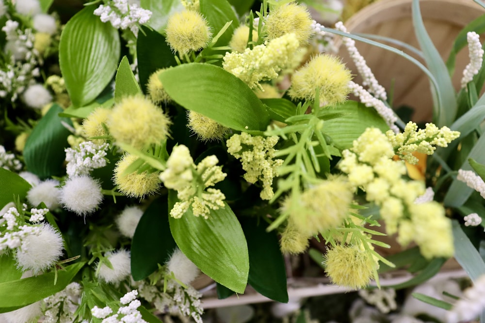 a close up of a bunch of flowers