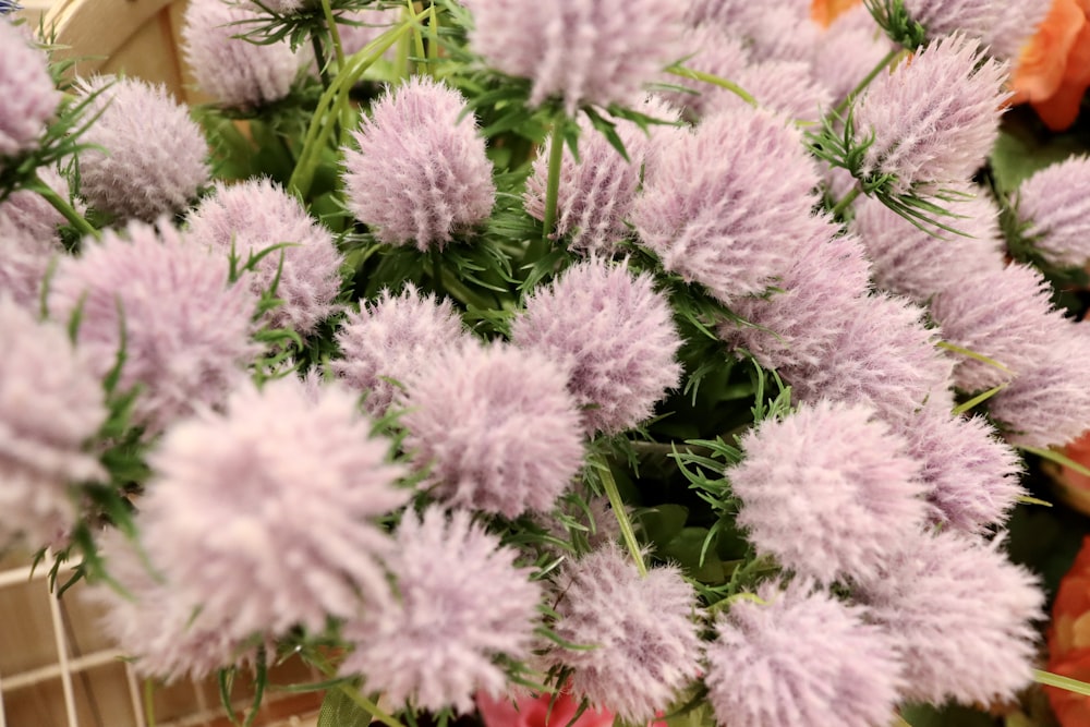 a basket filled with lots of purple flowers