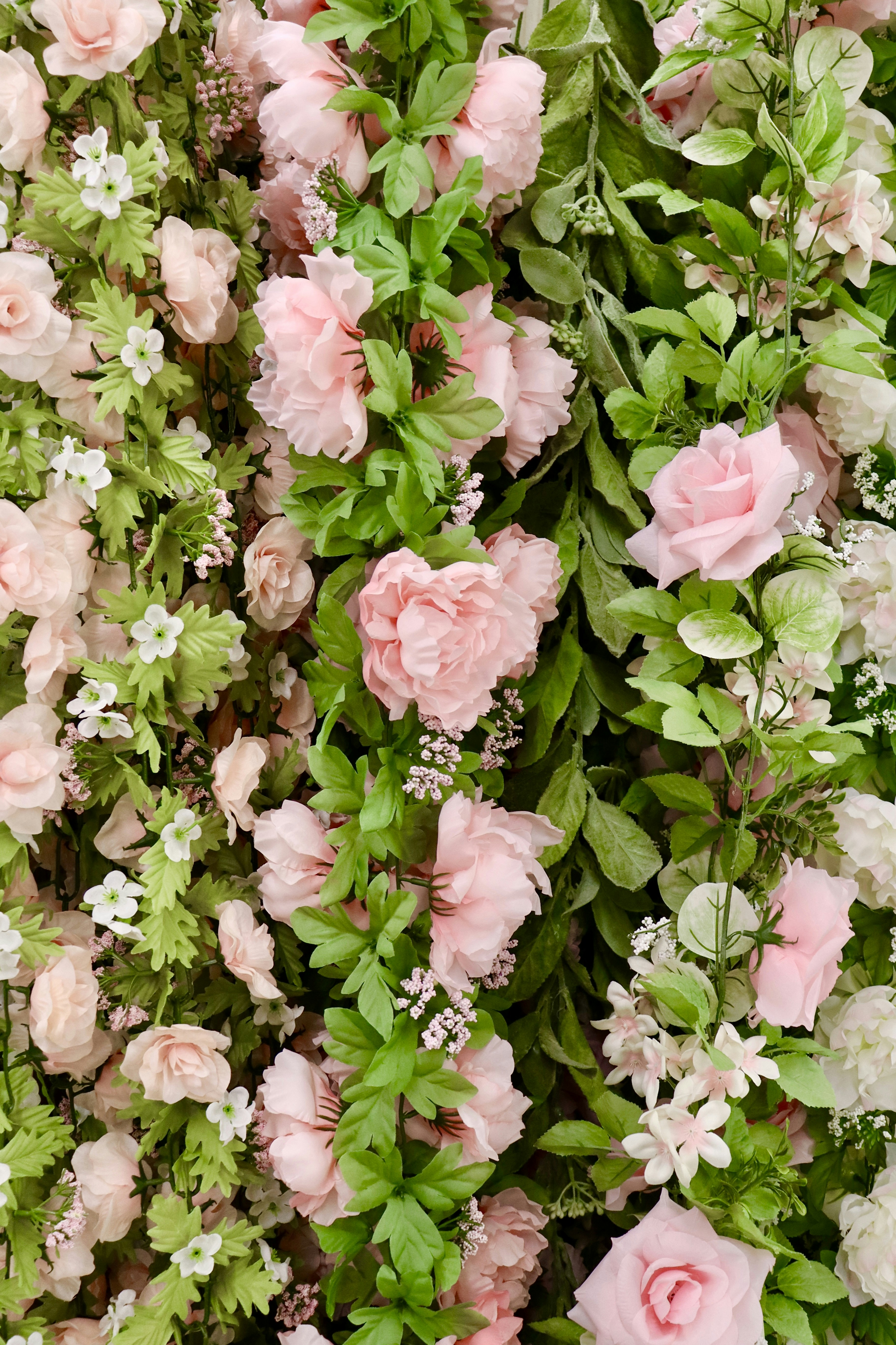 Photo by capturedbyk