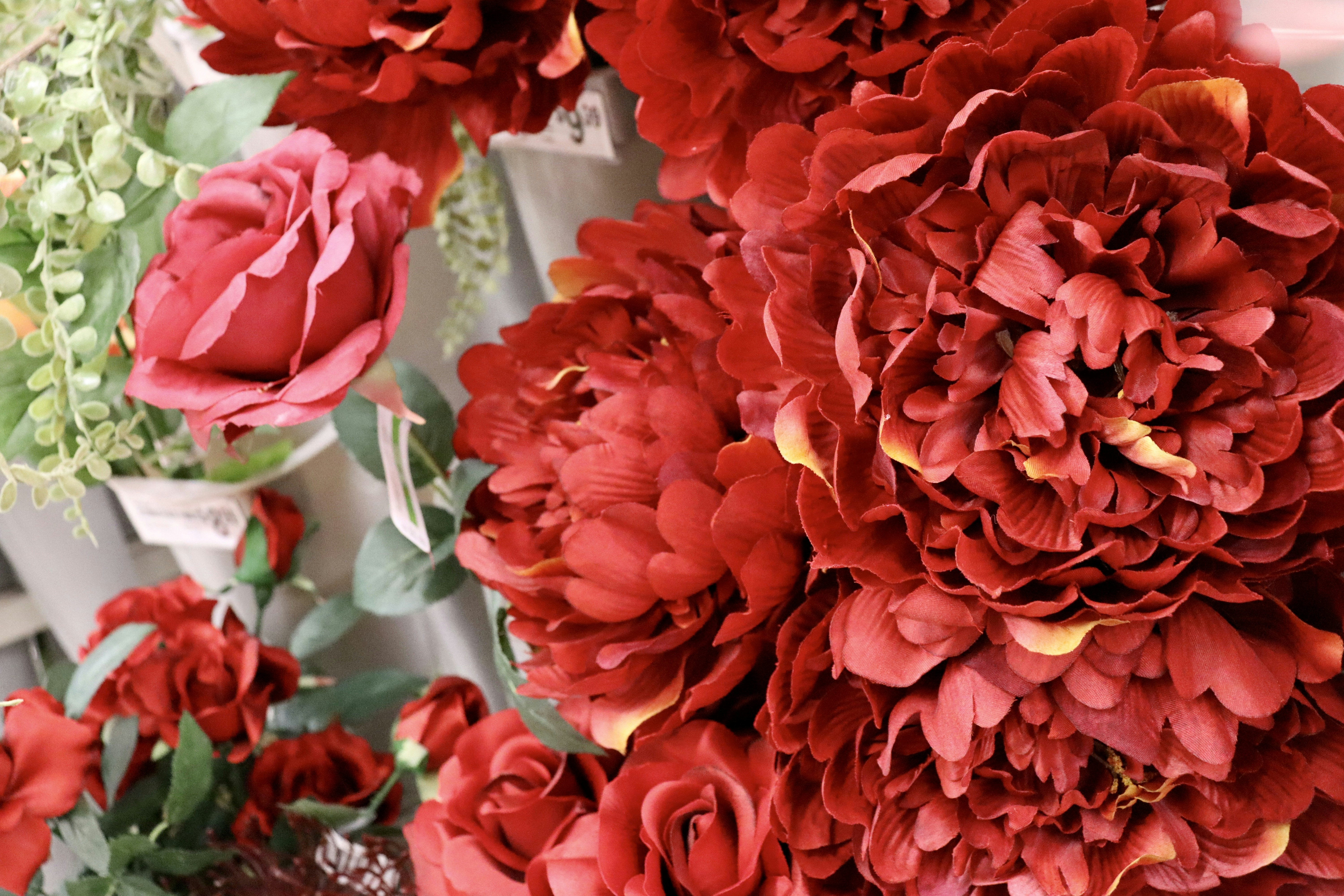 Photo by capturedbyk