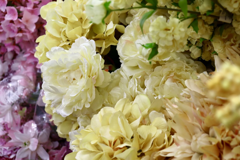 a close up of a bunch of flowers