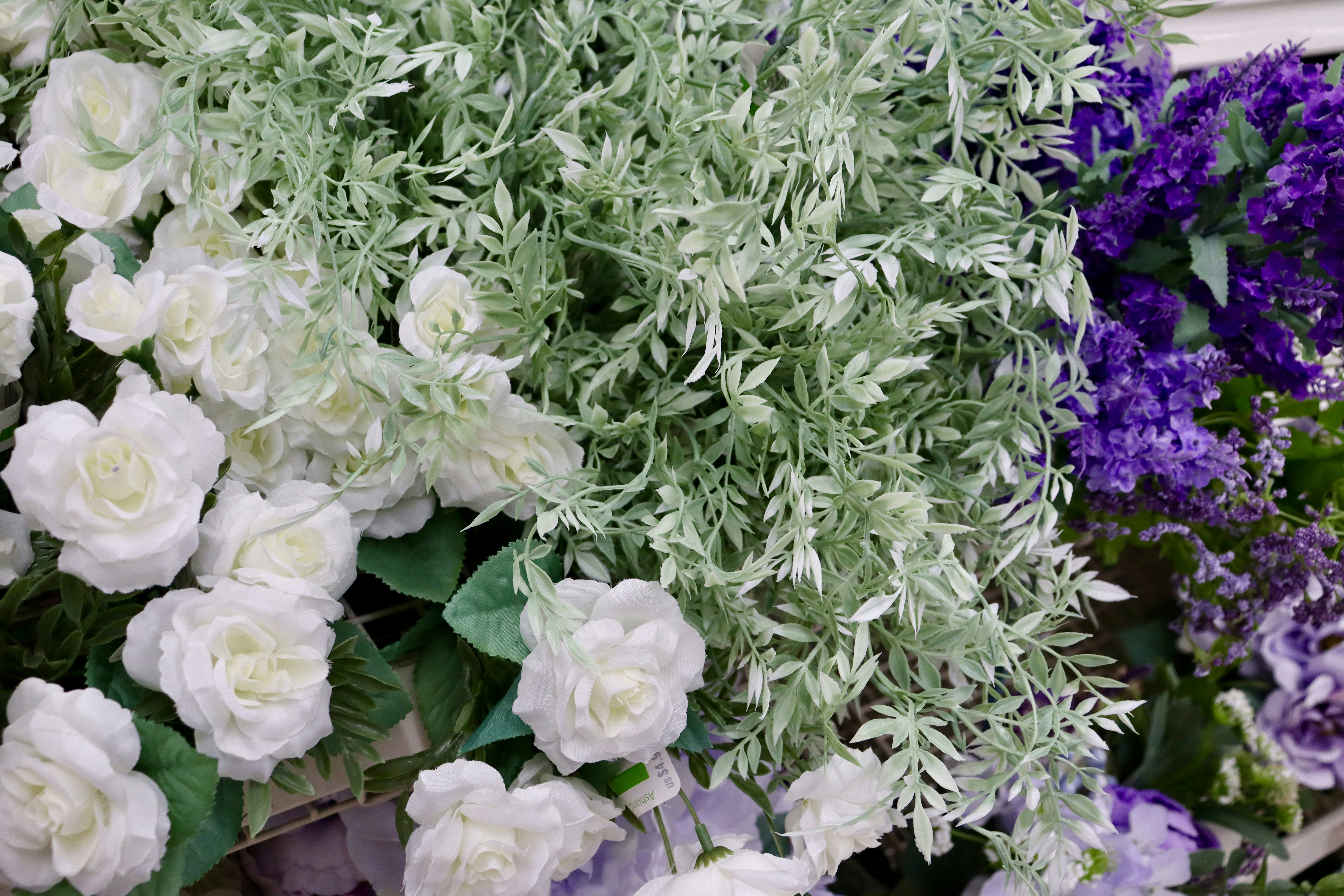 a bunch of flowers that are next to each other