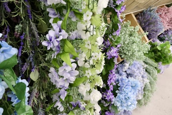 Photo 1688050559937 53d0f4775c70?q=85&w=350&h=300&fit=crop