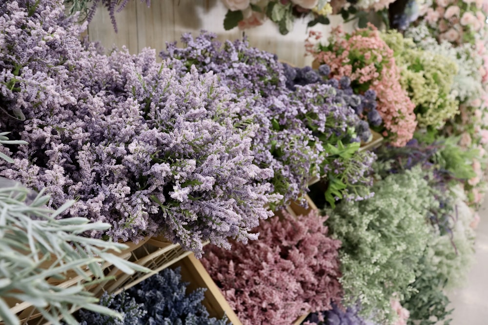 a bunch of flowers that are on a shelf