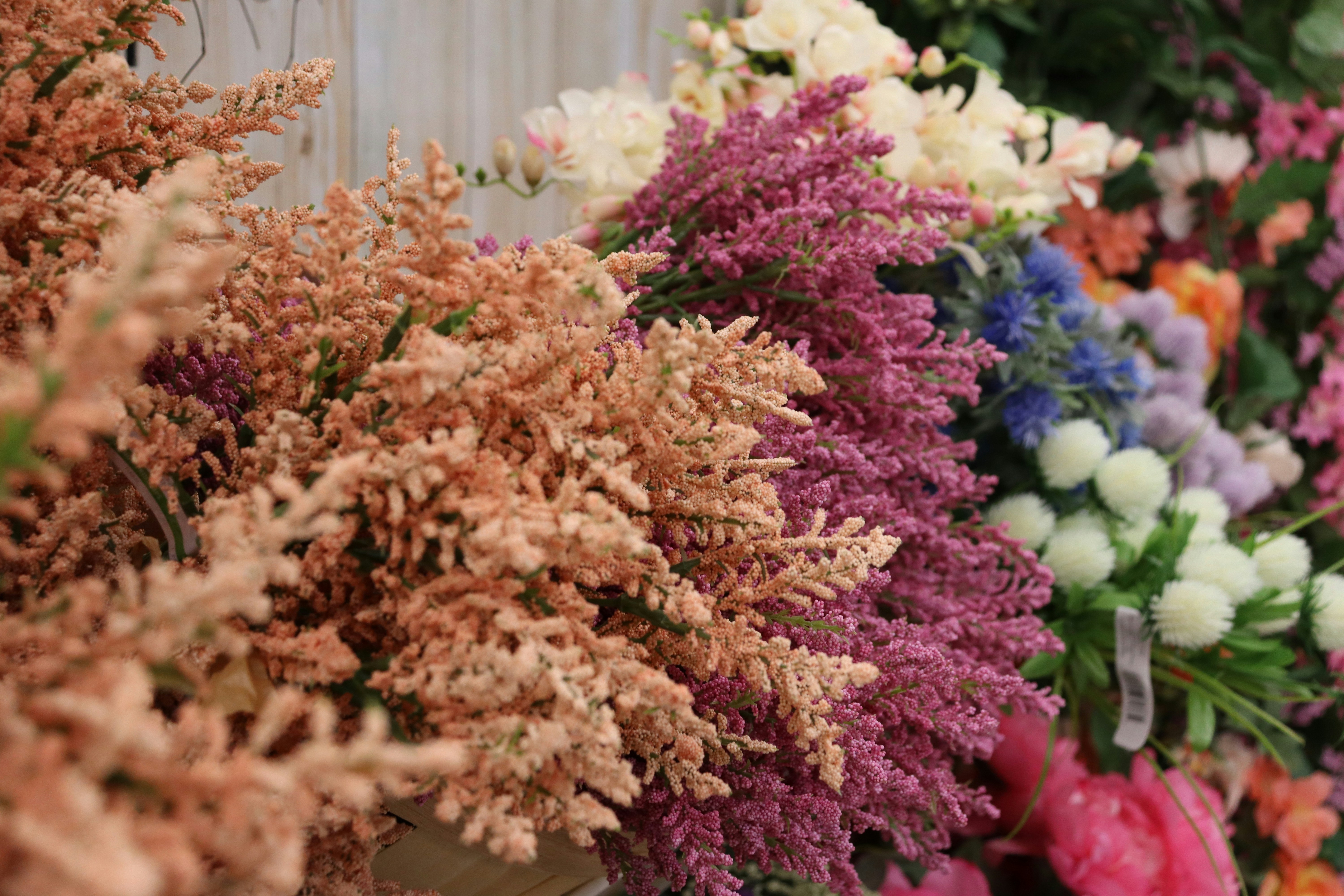 Photo by capturedbyk