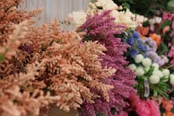 An assortment of colorful flowers elegantly displayed.