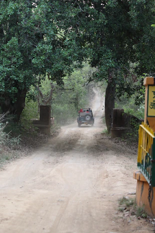 A dusty, rugged stretch of the Transamazônica road before paving, surrounded by dense Amazon forest.