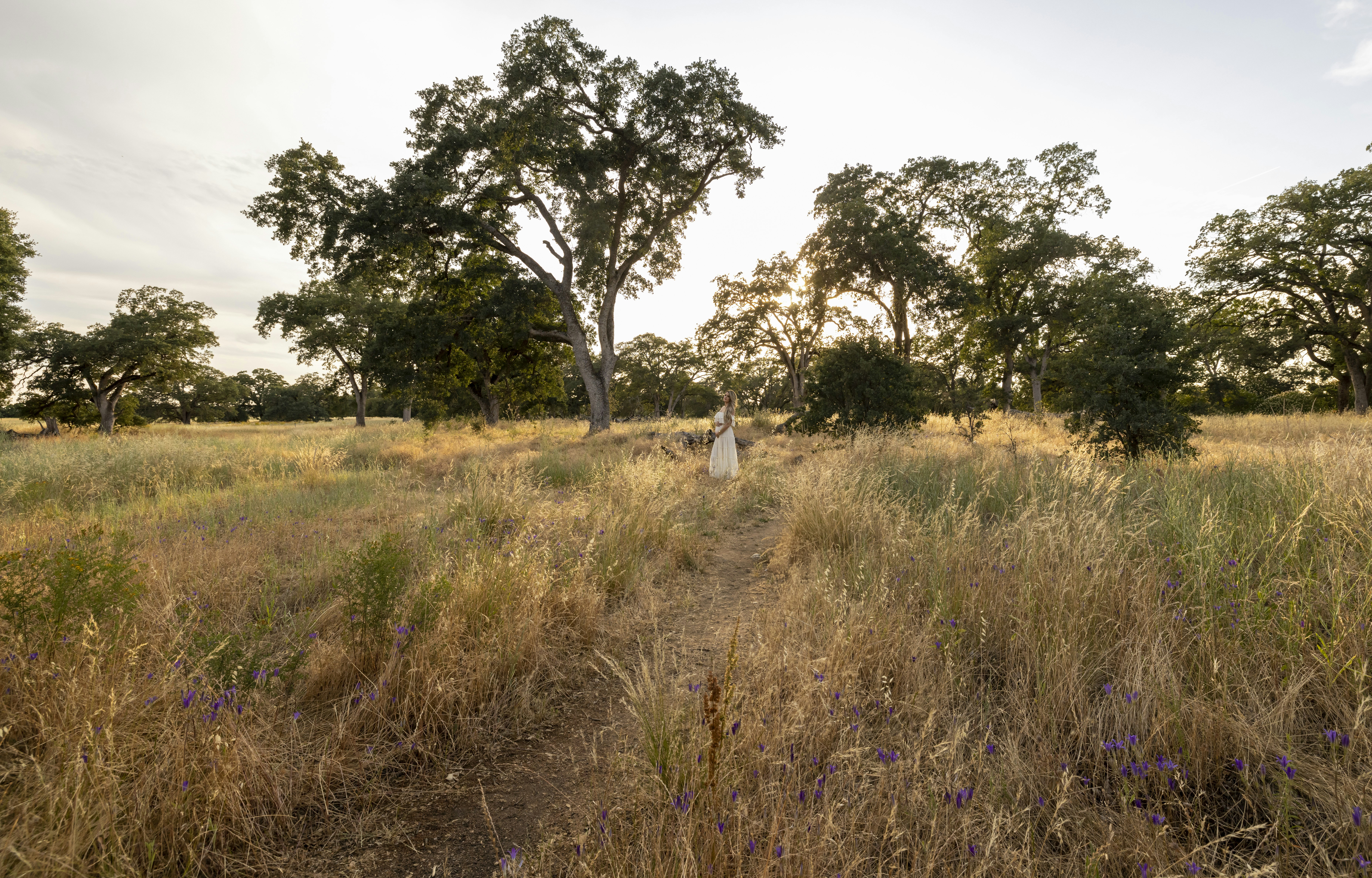 Photo by leo_visions_