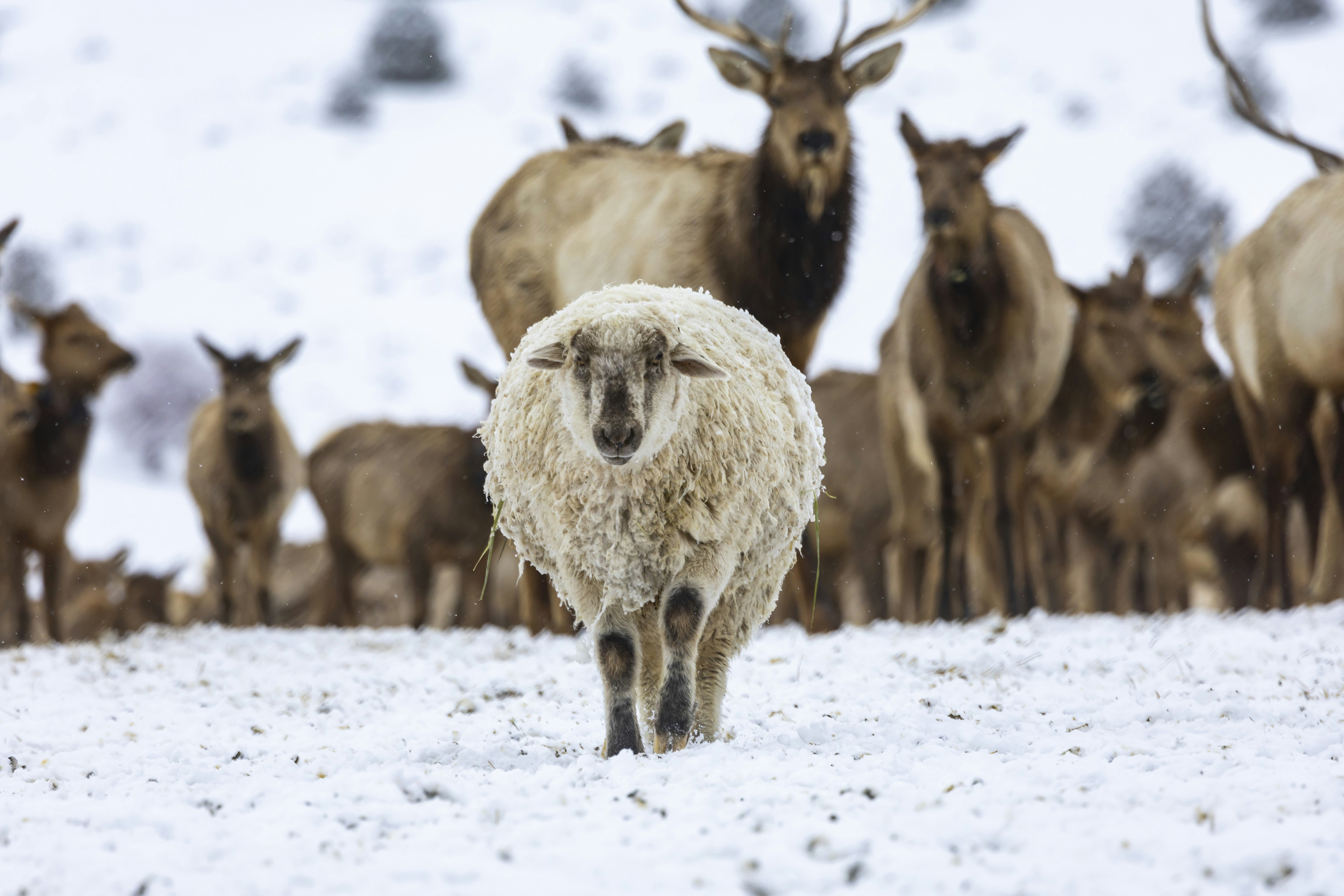 Photo by leo_visions_