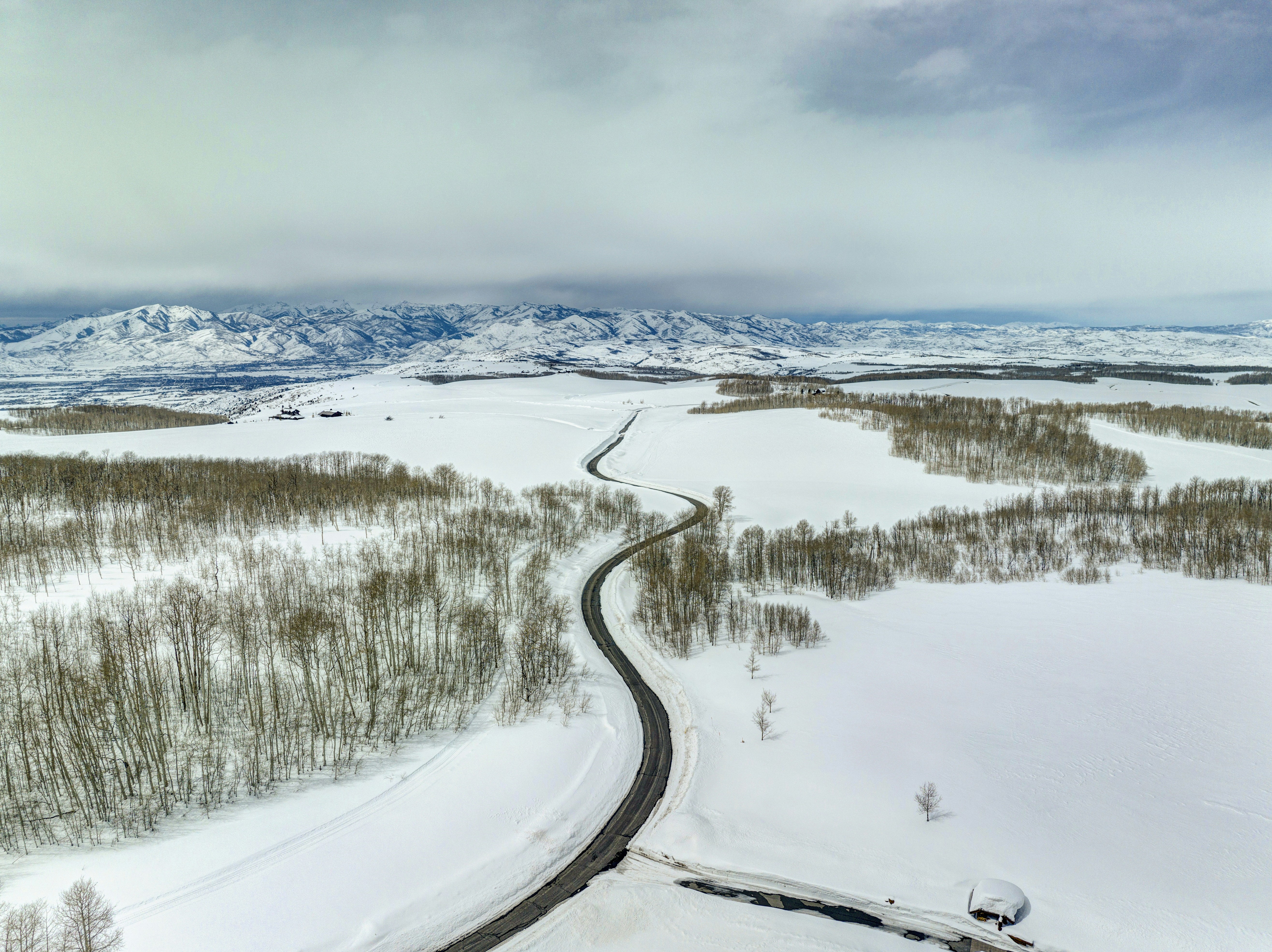 Photo by leo_visions_