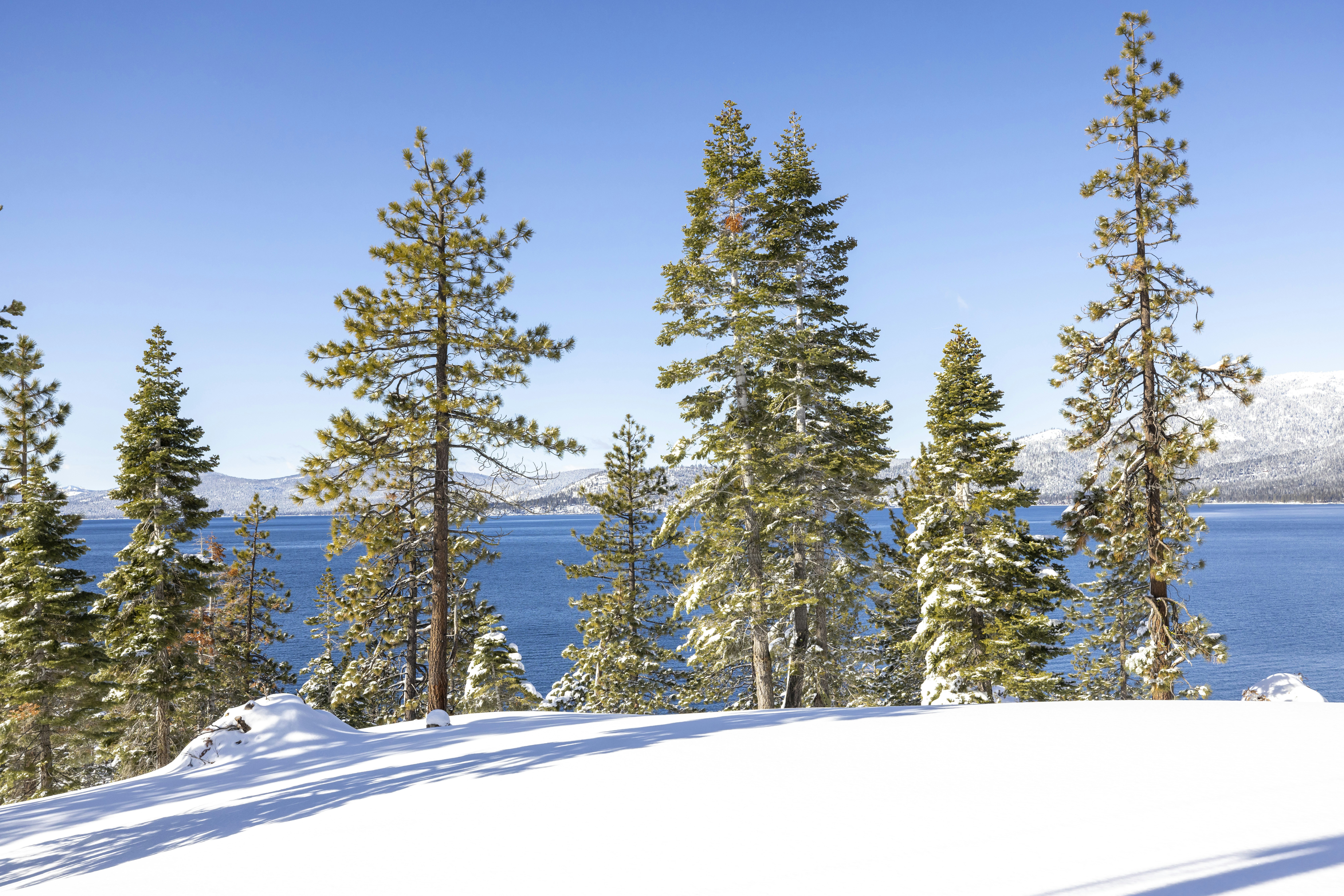 Photo by leo_visions_