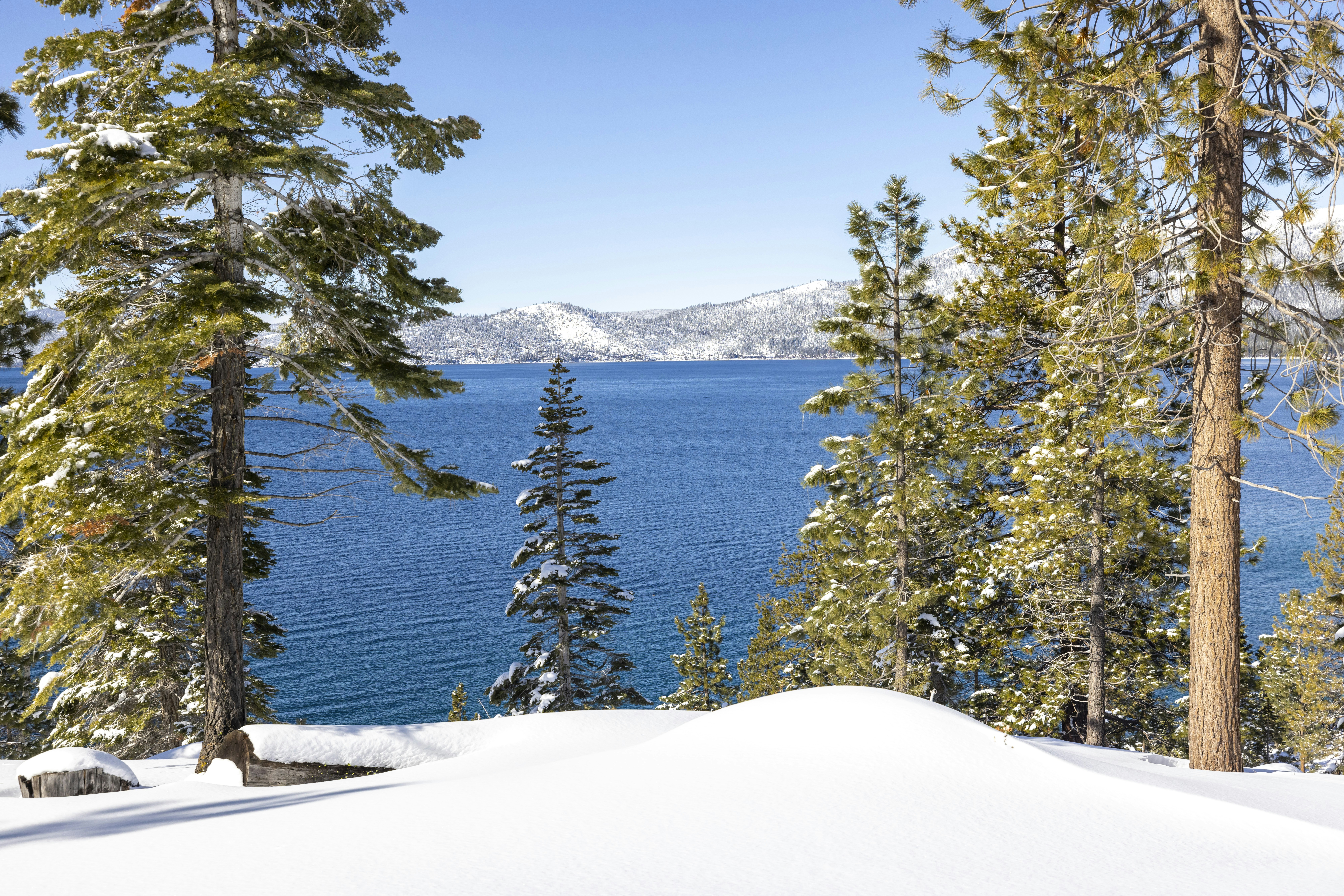 7월 1주차 그래프 오마카세