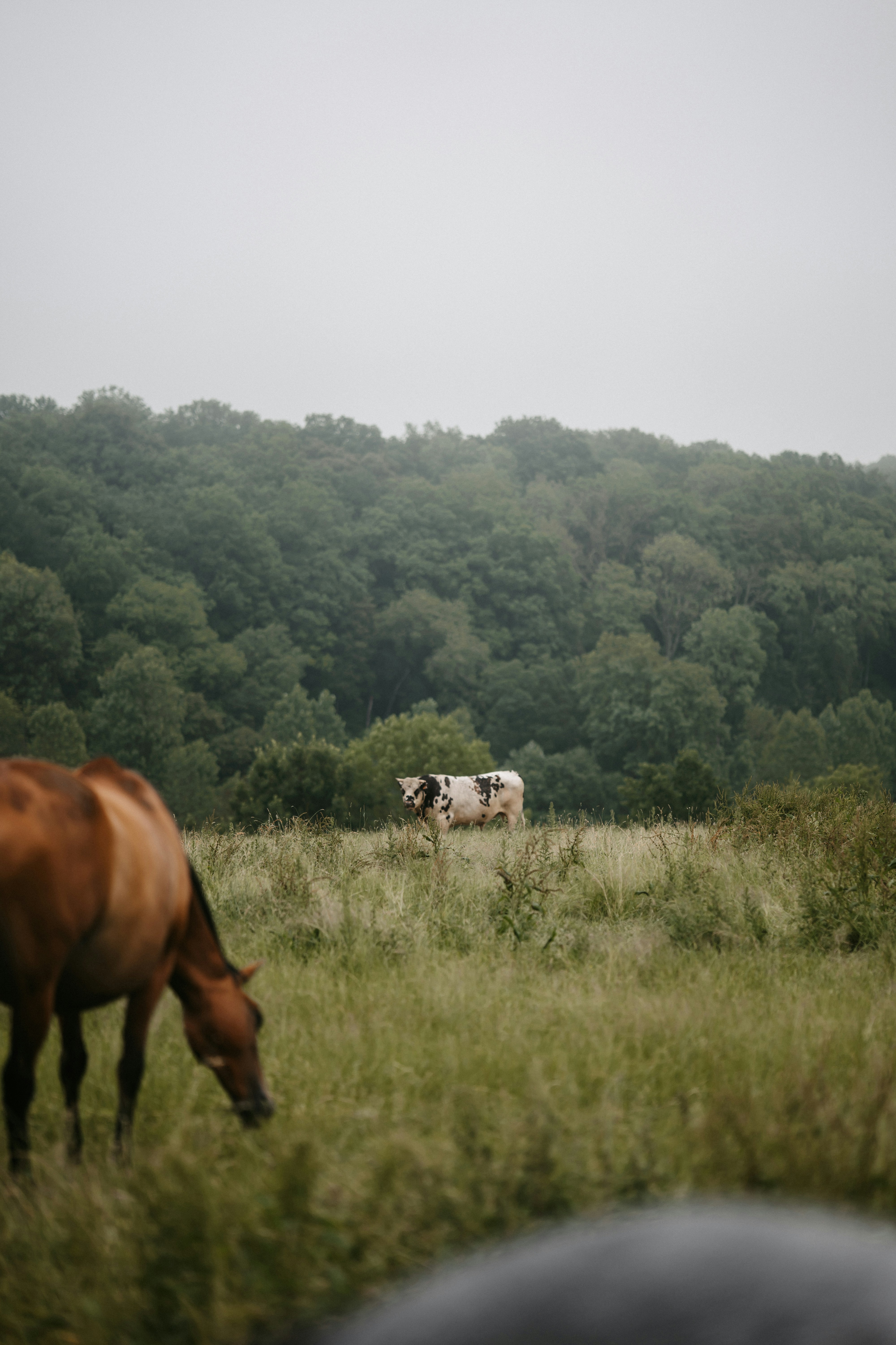 Photo by elmartinbaron