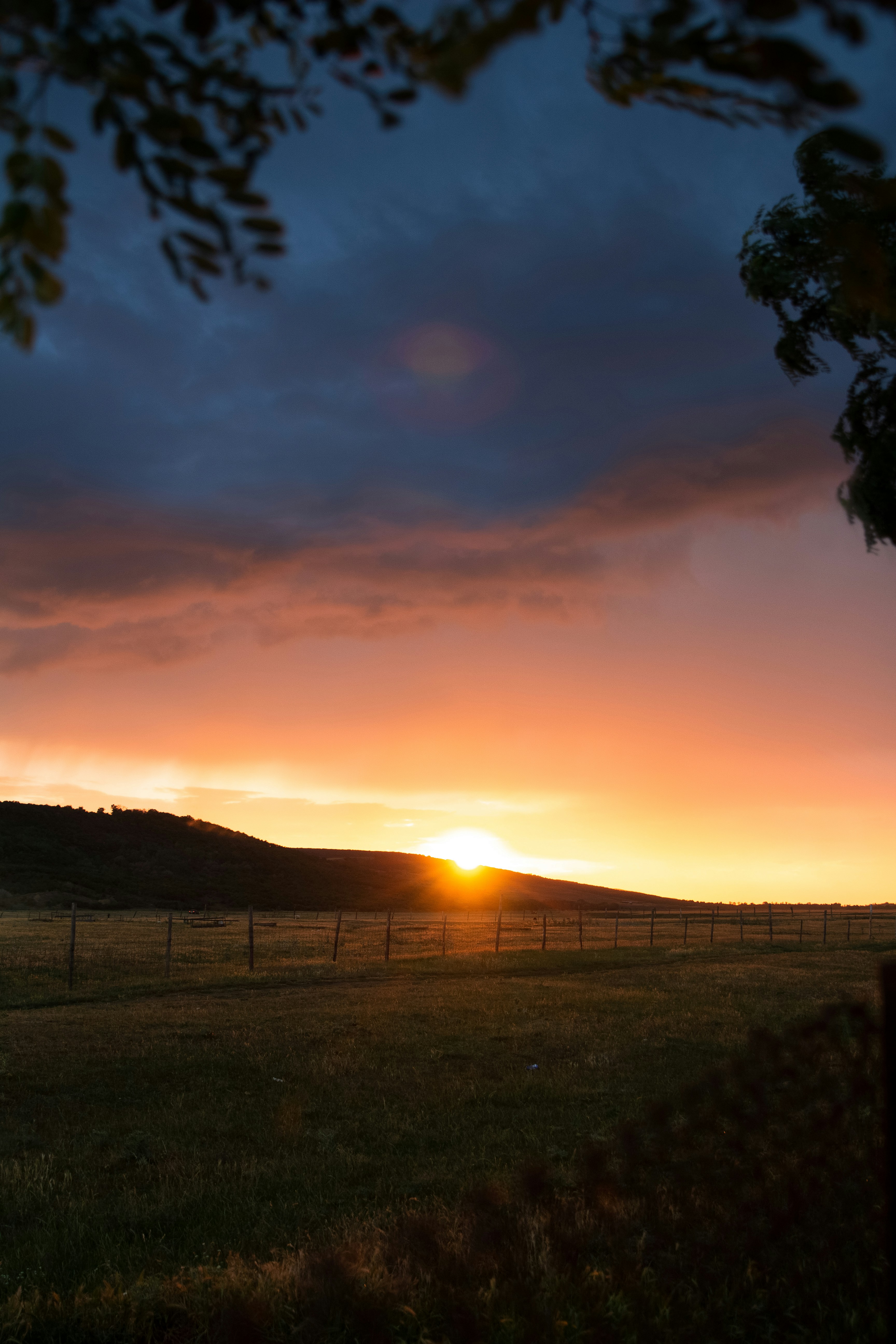 Photo by alexmartisca