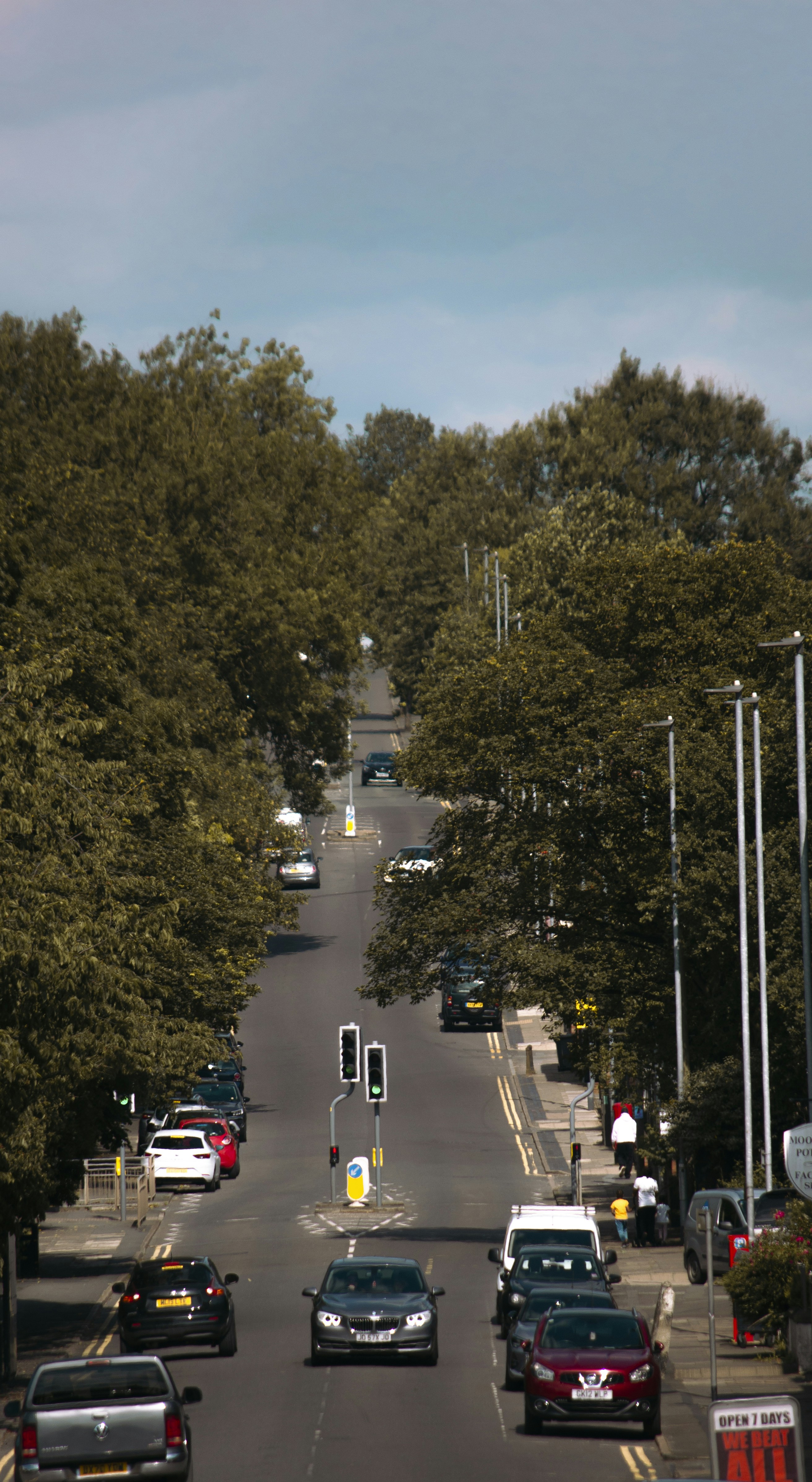 Cars on a sloppy gradient road lined with trees