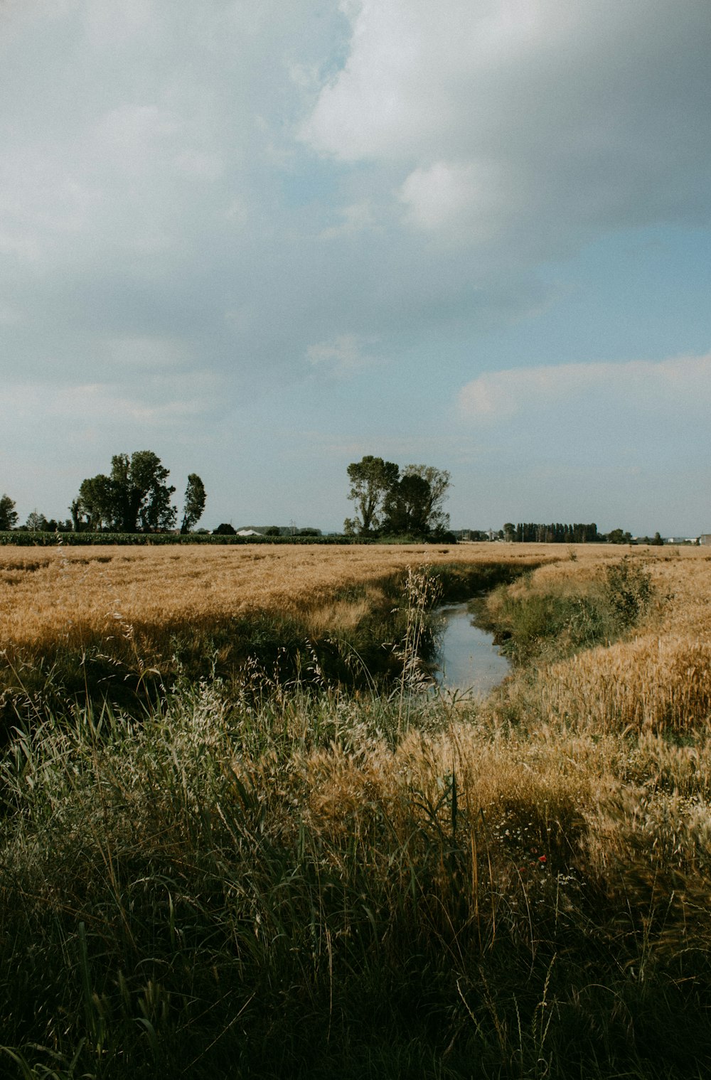 a grassy field with a stream running through it