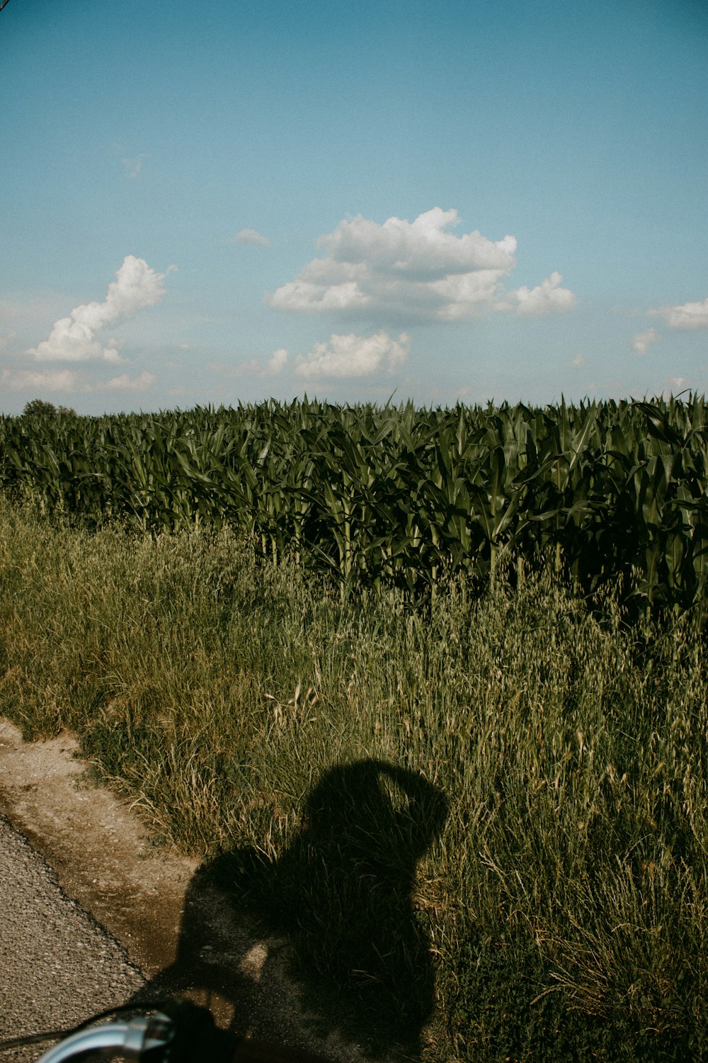 a motorcycle parked on the side of a road next to a field