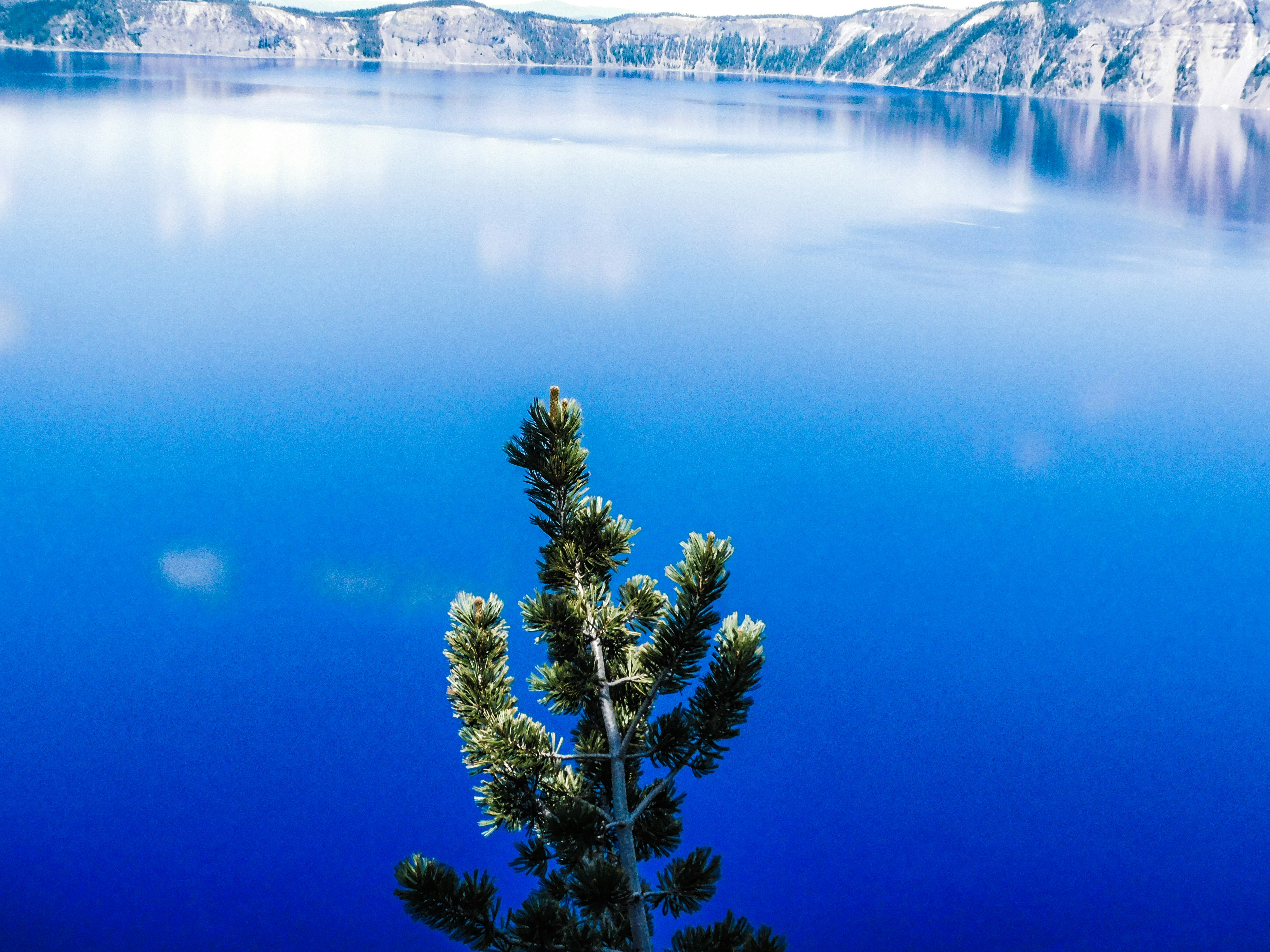 Photo by prphotography262