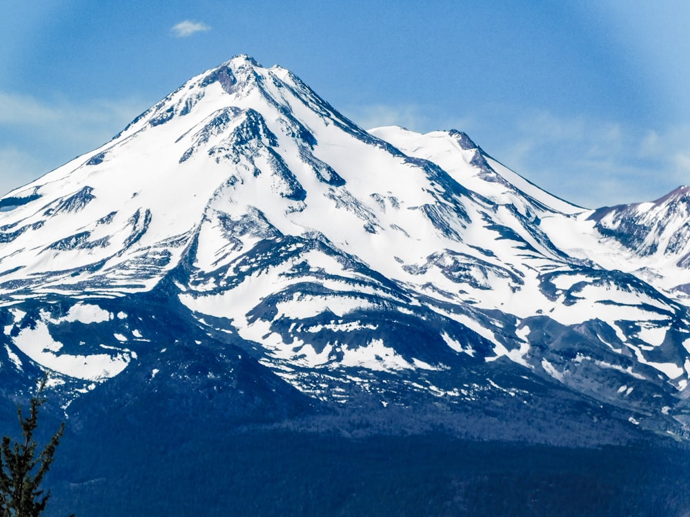 a snow covered mountain with trees in the foreground