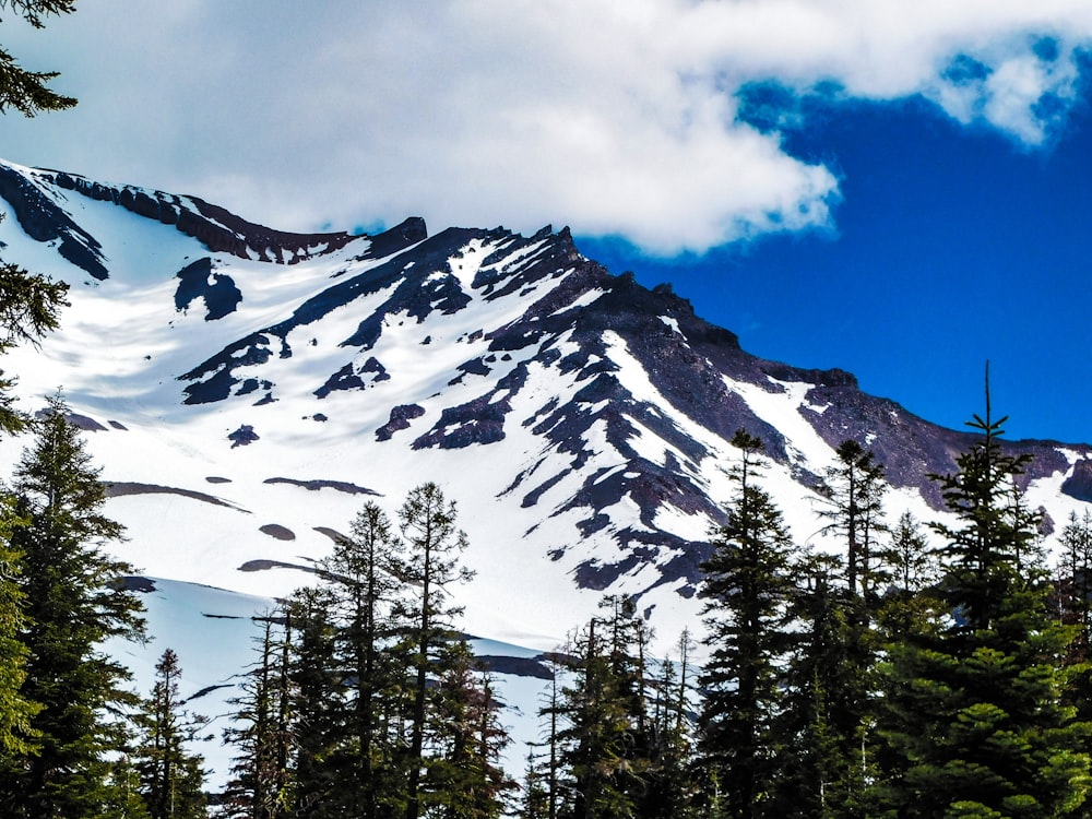 a mountain covered in snow surrounded by trees