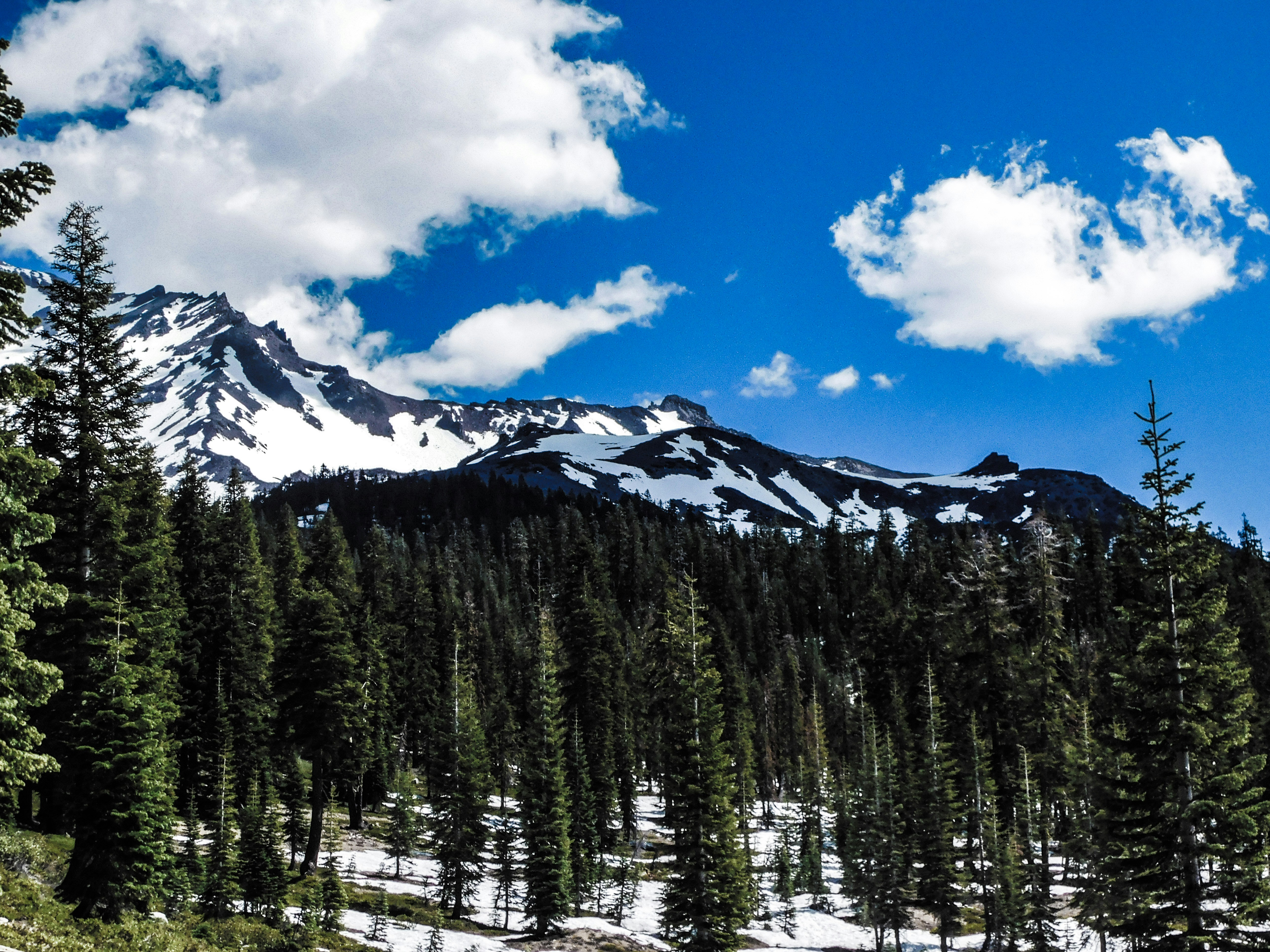 Photo by prphotography262