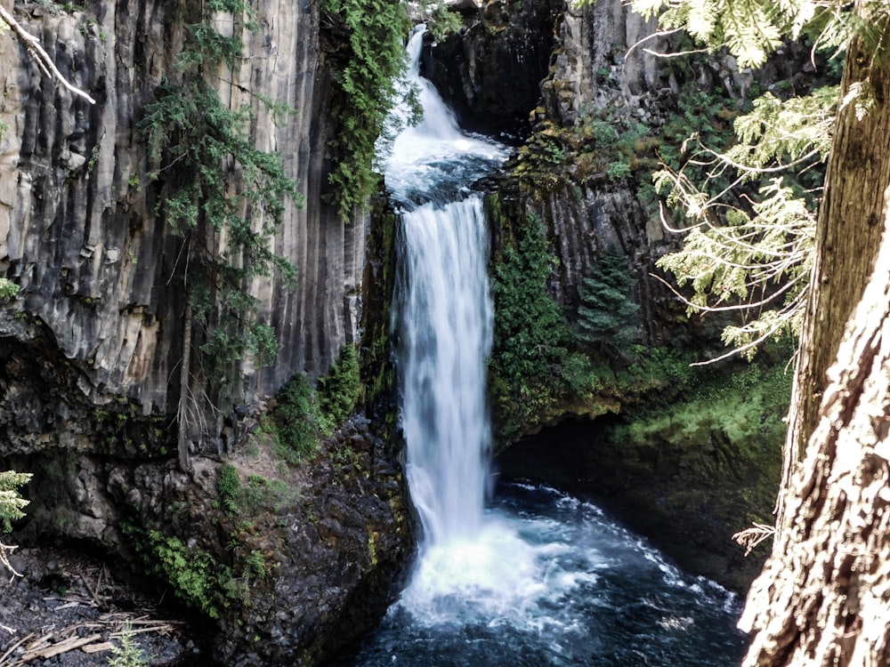 a waterfall in the middle of a forest